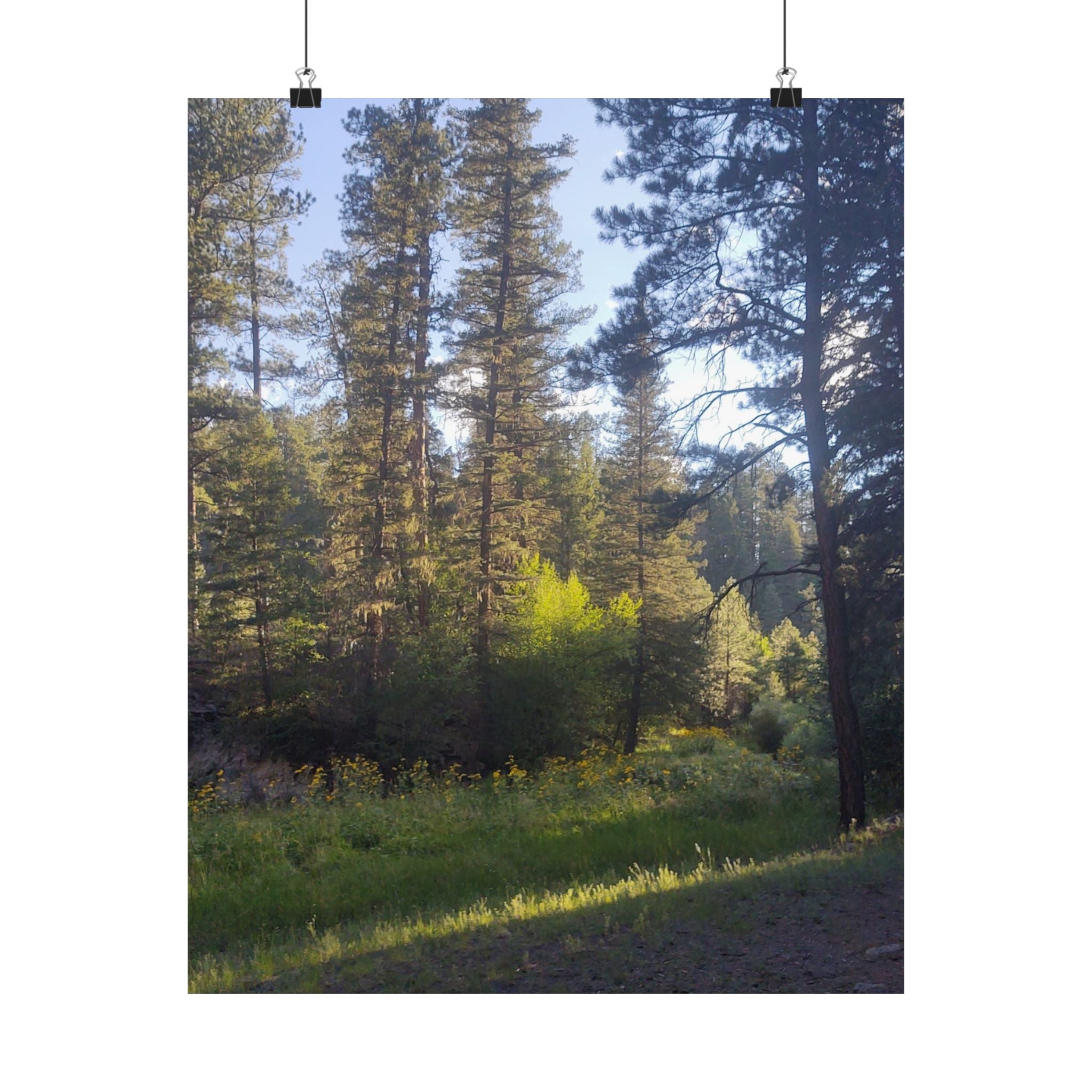 Nature-Inspired Matte Vertical Posters, Forest Wall Art, Home Décor, Greenery Prints, Gifts for Nature Lovers, Nature Photography