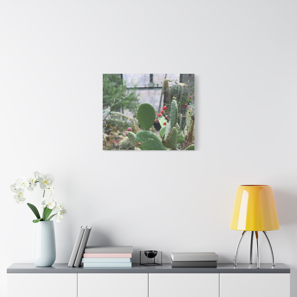 Cactus Matte Canvas Wall Art, Nature Decor, Southwestern Room Design, Green Plant Prints, Home and Office Wall Decor