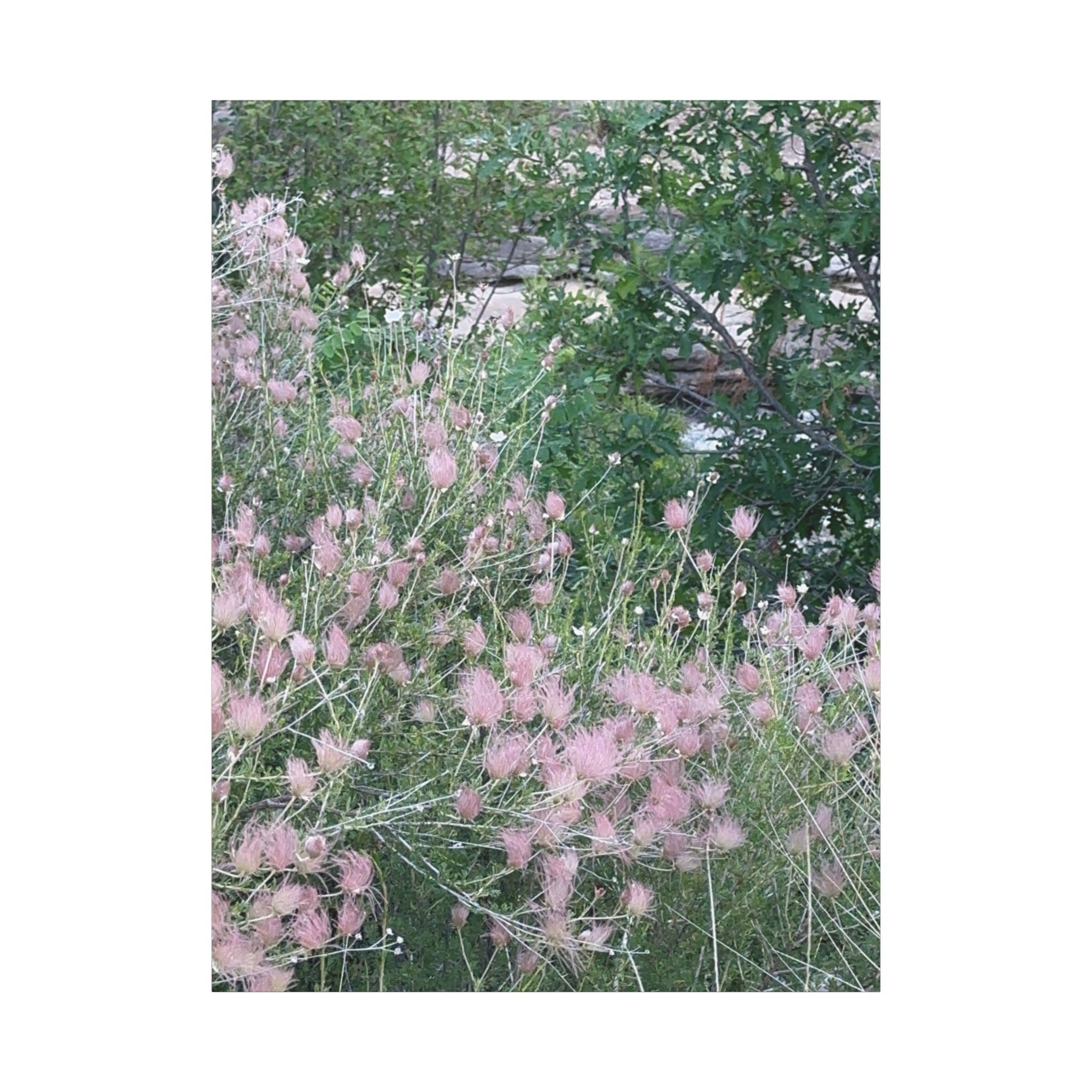 Floral Wall Art Canvas, Home Decor, Nature Lover Gift, Botanical Print, Spring Decor, Mother’s Day