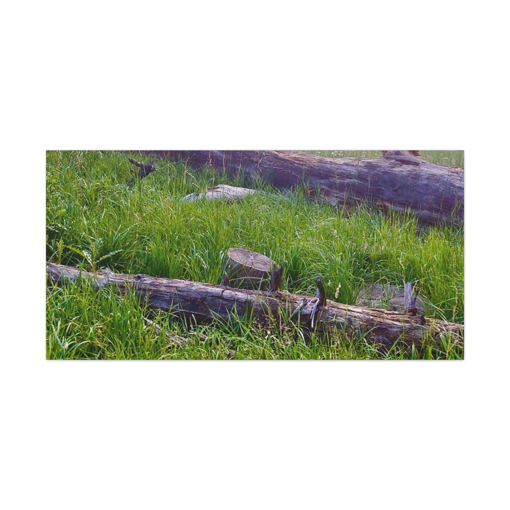 Classic Canvas Wall Art - Nature Decor, Outdoor Wall Hanging, Home Aesthetic, Gift for Nature Lovers, Rustic Cabin Decor