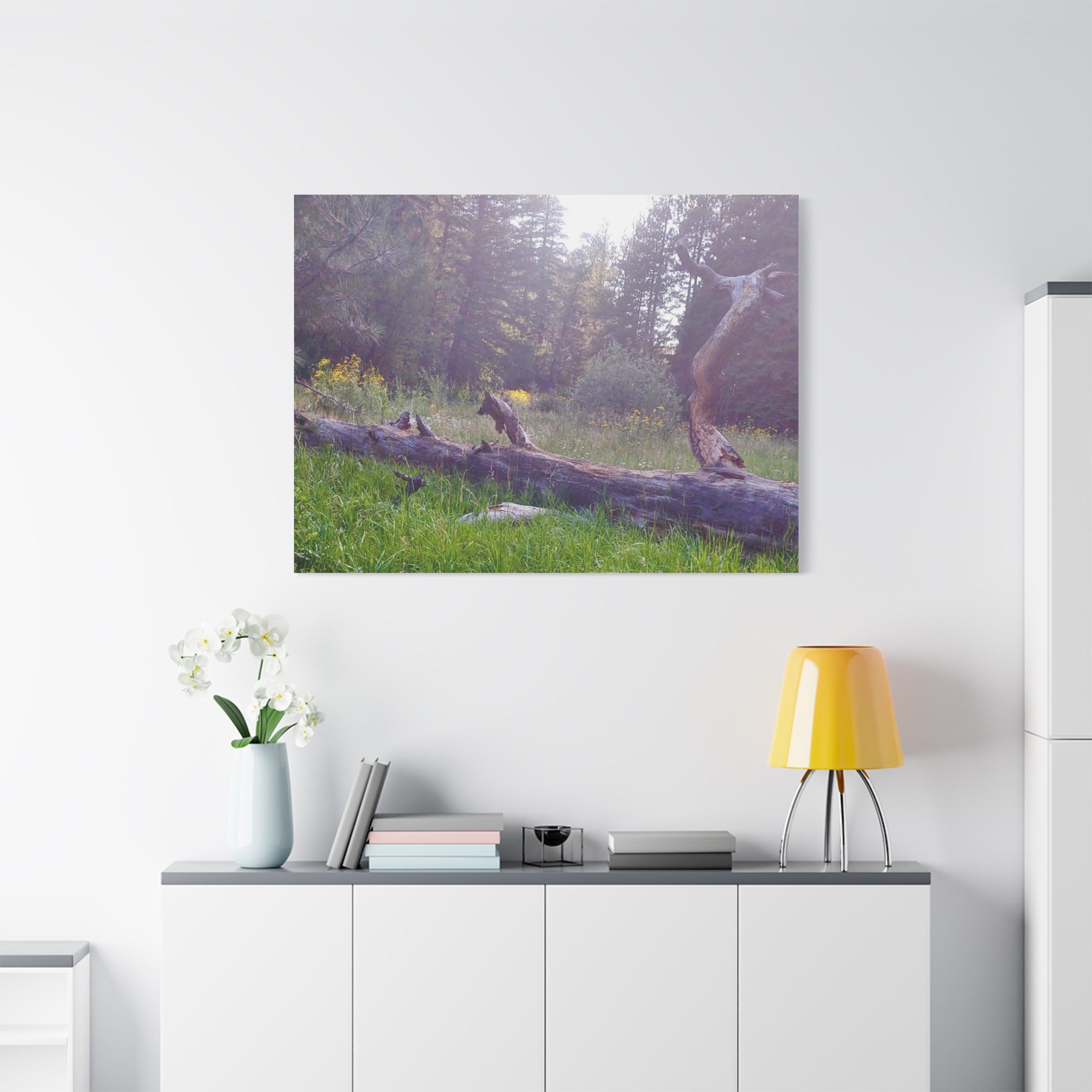 Matte Canvas Wall Art - Serene Nature Scene, Perfect for Home Decor, Gift for Nature Lovers, Office Wall Decoration, Rustic Art Print