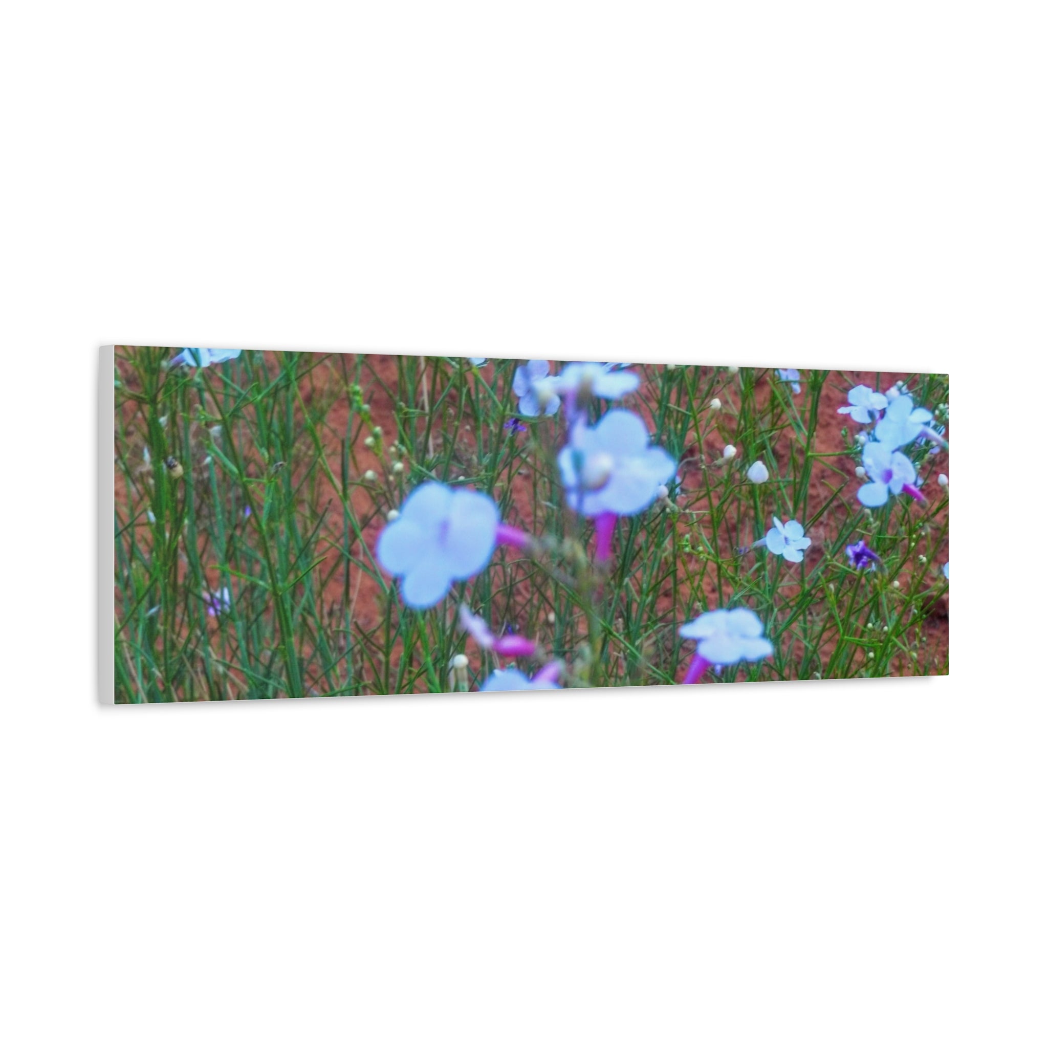 Floral Canvas Wall Art, Home Decor, Wall Hanging, Gift Idea, Nature Art, Flower Print