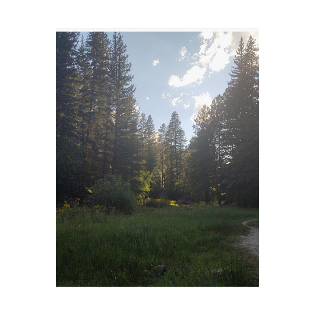 Nature-Inspired Matte Vertical Posters, Forest Art Decor, Home Wall Art, Outdoor Lover Gift, Tranquil Nature Prints