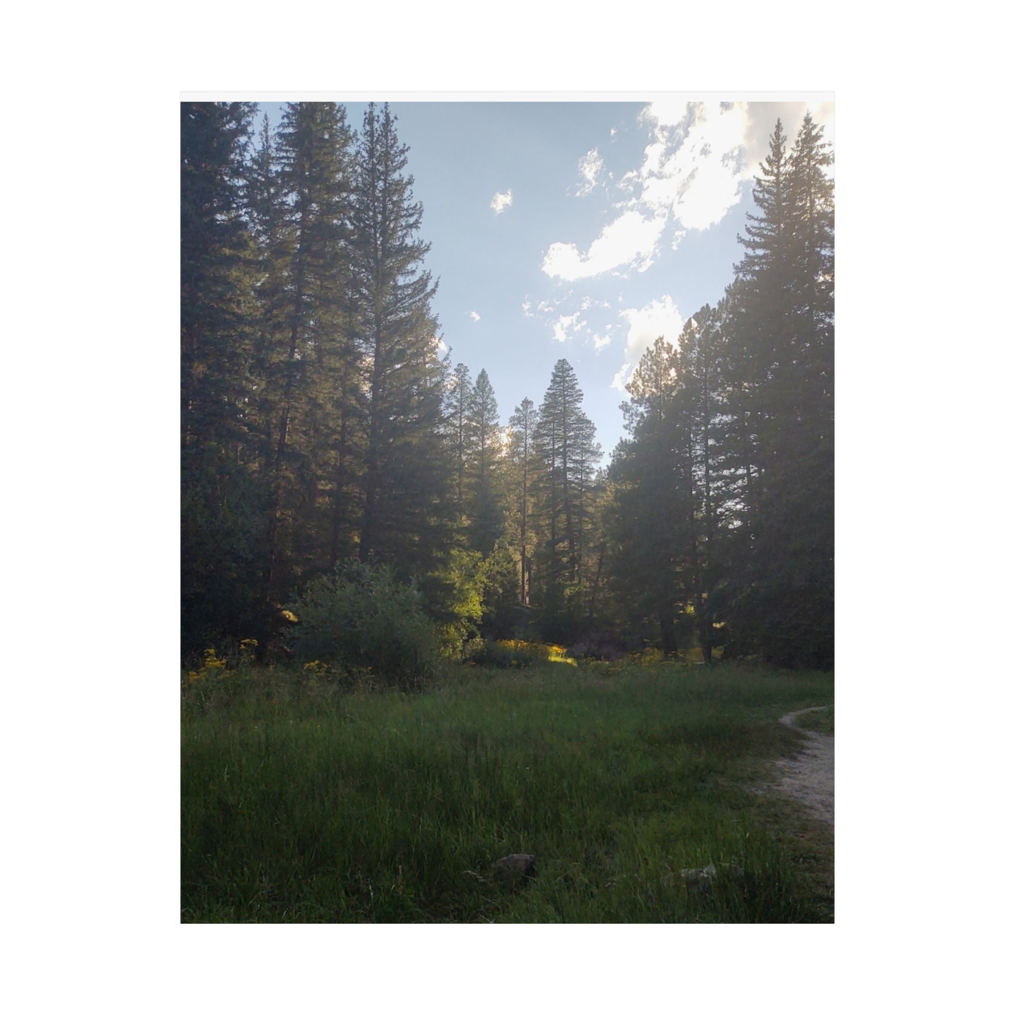 Nature-Inspired Matte Vertical Posters, Forest Art Decor, Home Wall Art, Outdoor Lover Gift, Tranquil Nature Prints