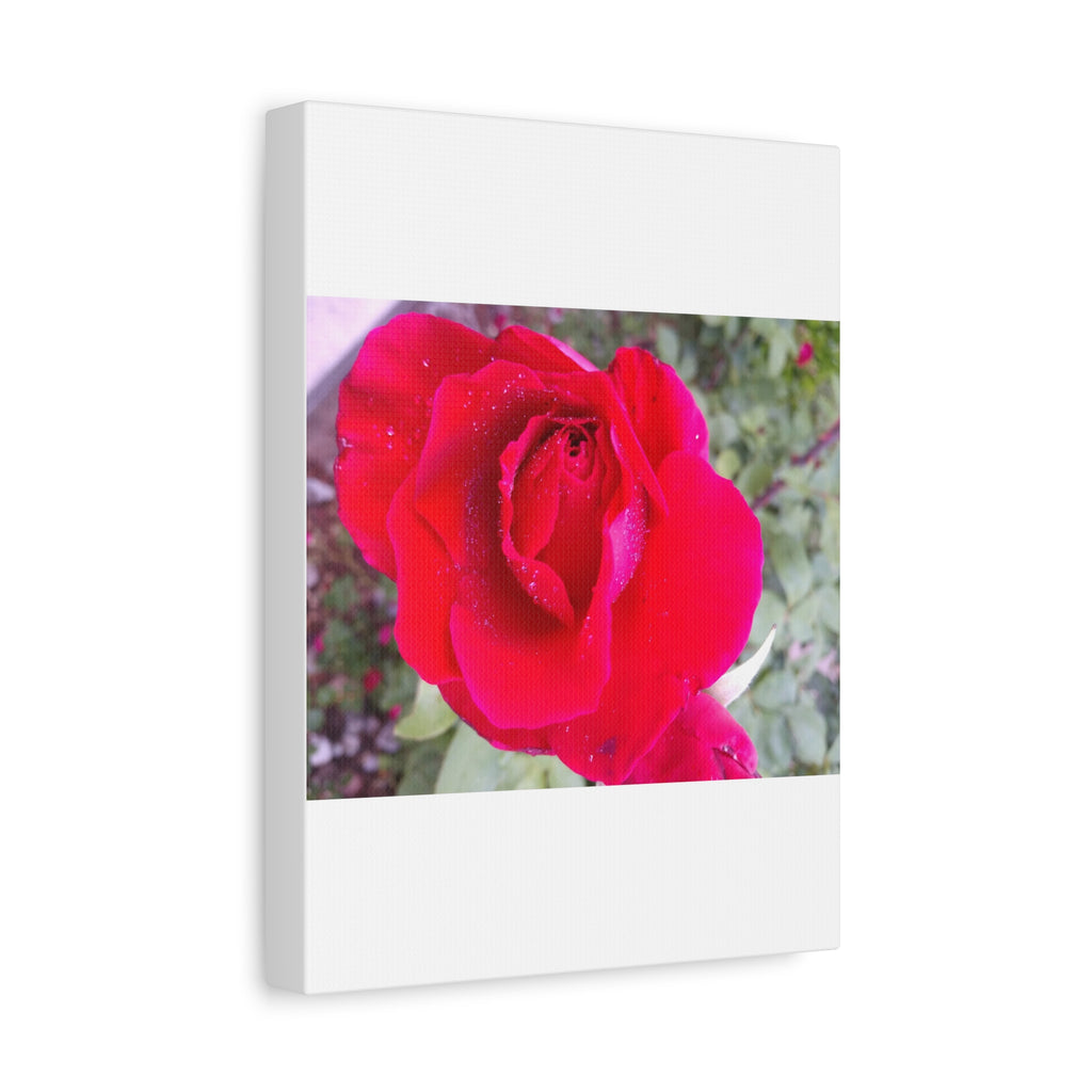 Vibrant Floral Canvas Art, Elegant Wall Decor, Perfect for Home, Gifts, Mother's Day, and Weddings