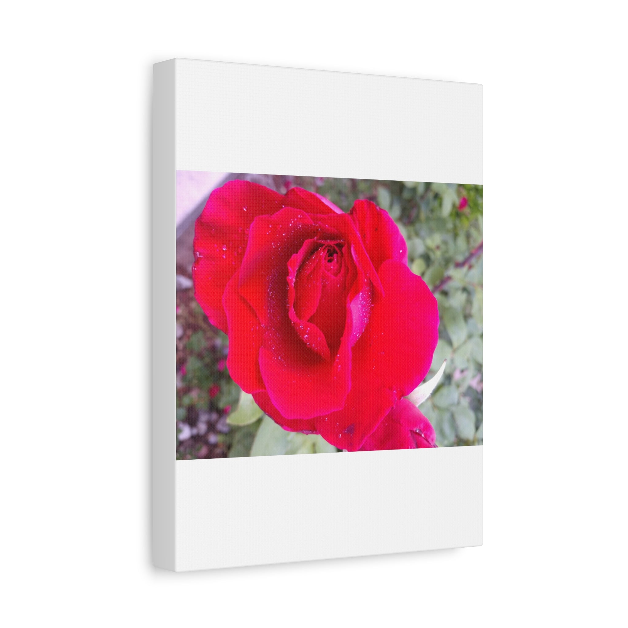 Vibrant Floral Canvas Art, Elegant Wall Decor, Perfect for Home, Gifts, Mother's Day, and Weddings