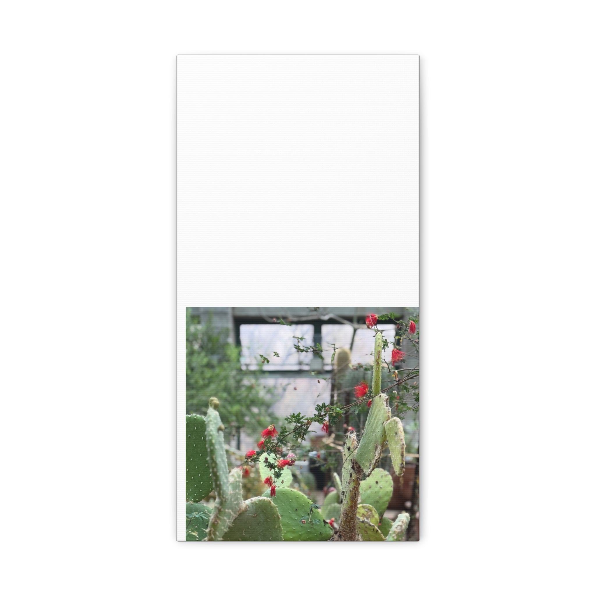 Cactus Wall Art Print, Nature Home Decor, Bohemian Style Artwork, Botanical Gift, Succulent Canvas