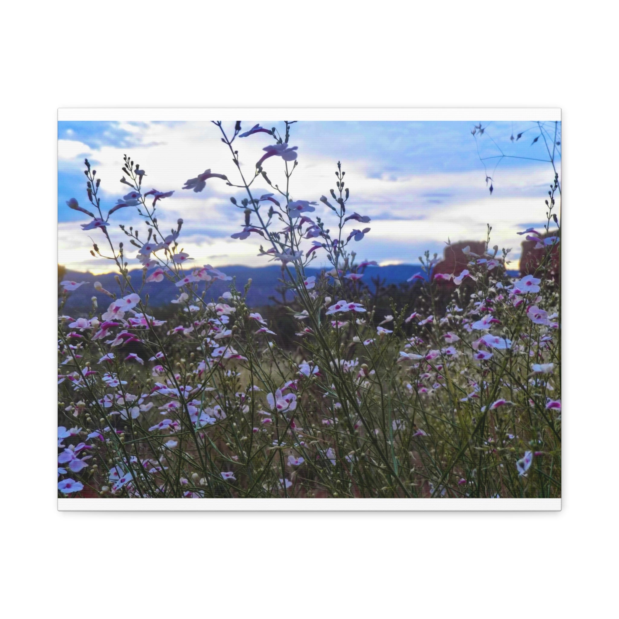 Floral Wall Art Canvas, Nature-Inspired Home Decor, Flower Print, Rustic Living Room, Gift for Gardeners, Boho Wall Art