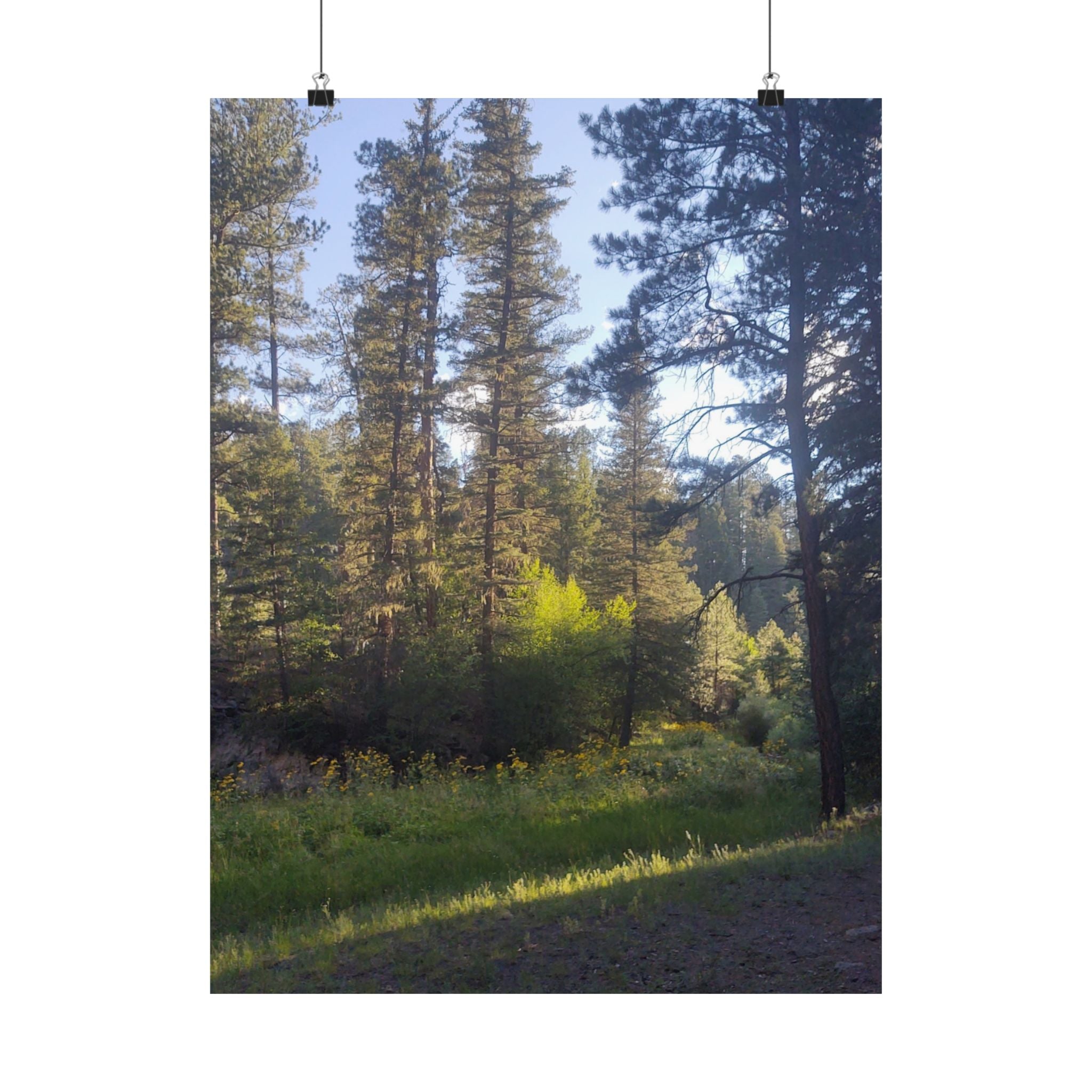 Nature-Inspired Matte Vertical Posters, Forest Wall Art, Home Décor, Greenery Prints, Gifts for Nature Lovers, Nature Photography