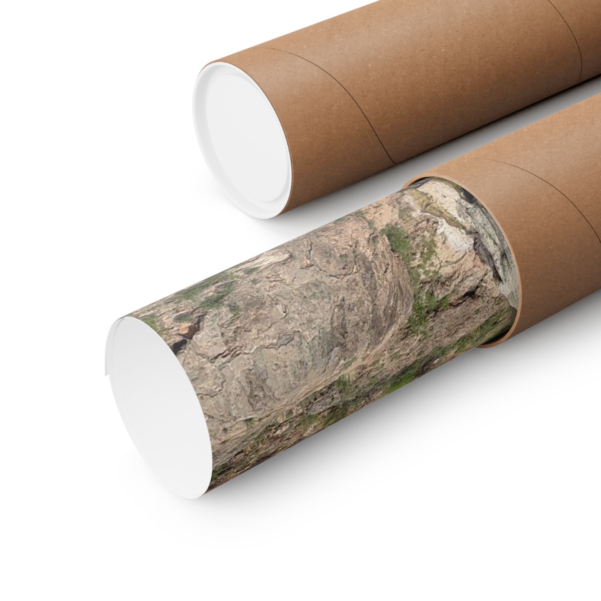 Nature-Inspired Matte Vertical Posters, Scenic Wall Art, Home Decor, Outdoor Aesthetics, Gift for Nature Lovers