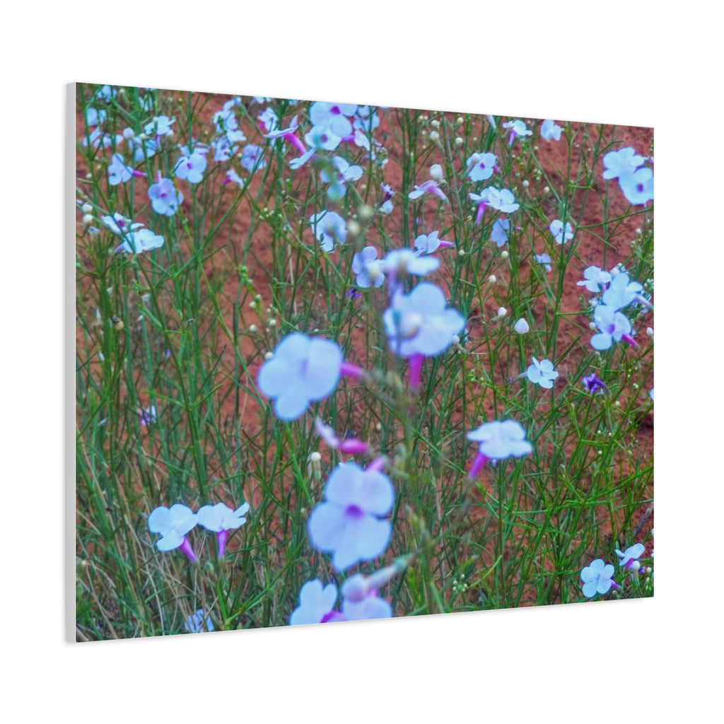 Floral Canvas Wall Art, Home Decor, Wall Hanging, Gift Idea, Nature Art, Flower Print