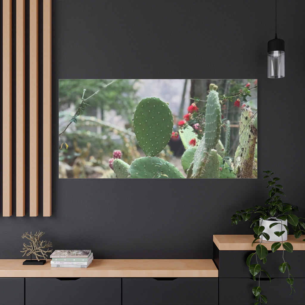 Cactus Matte Canvas Wall Art, Nature Decor, Southwestern Room Design, Green Plant Prints, Home and Office Wall Decor
