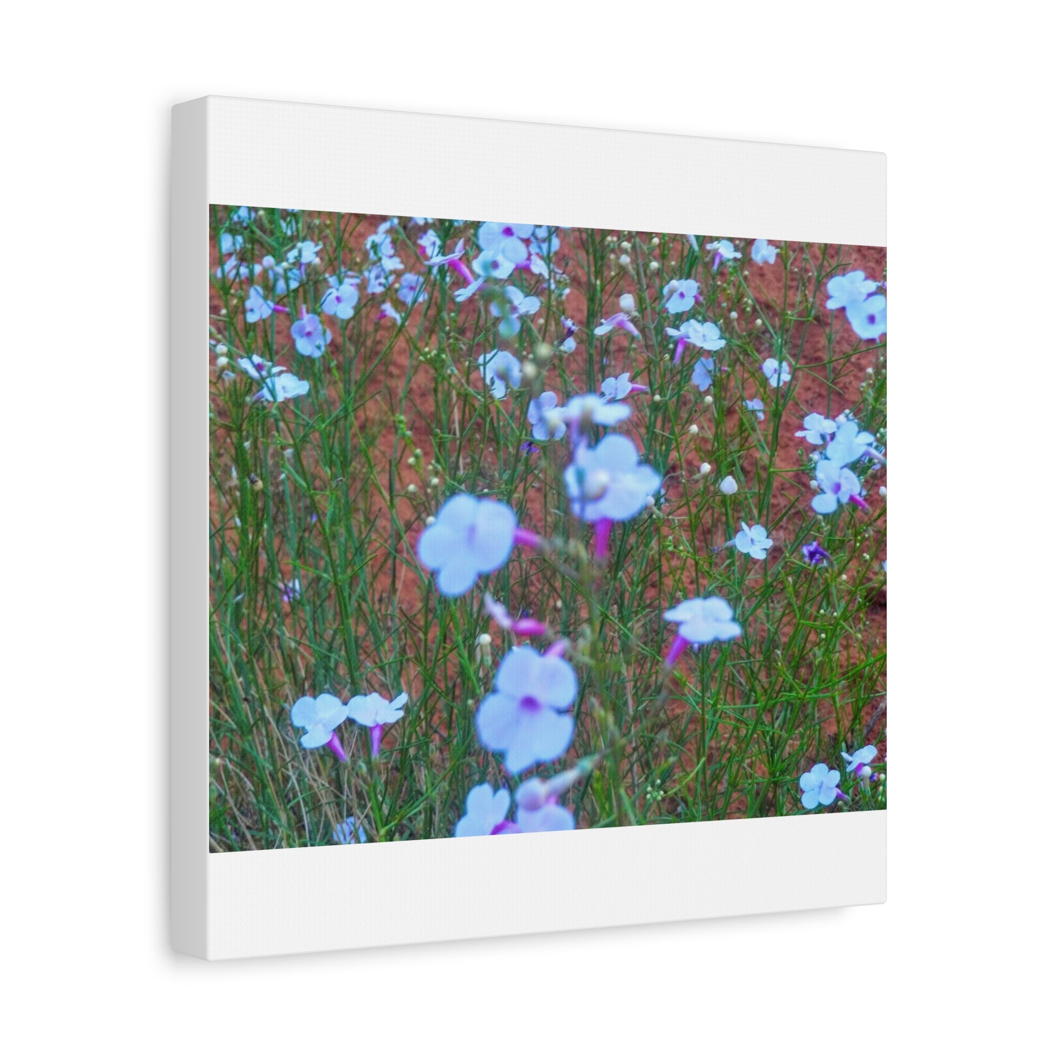Floral Canvas Wall Art, Home Decor, Wall Hanging, Gift Idea, Nature Art, Flower Print