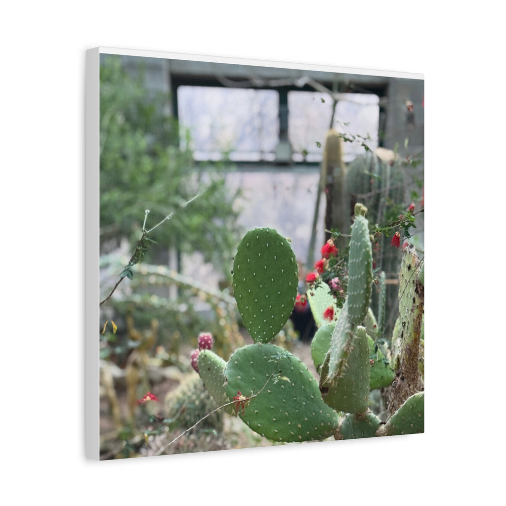 Cactus Matte Canvas Wall Art, Nature Decor, Southwestern Room Design, Green Plant Prints, Home and Office Wall Decor