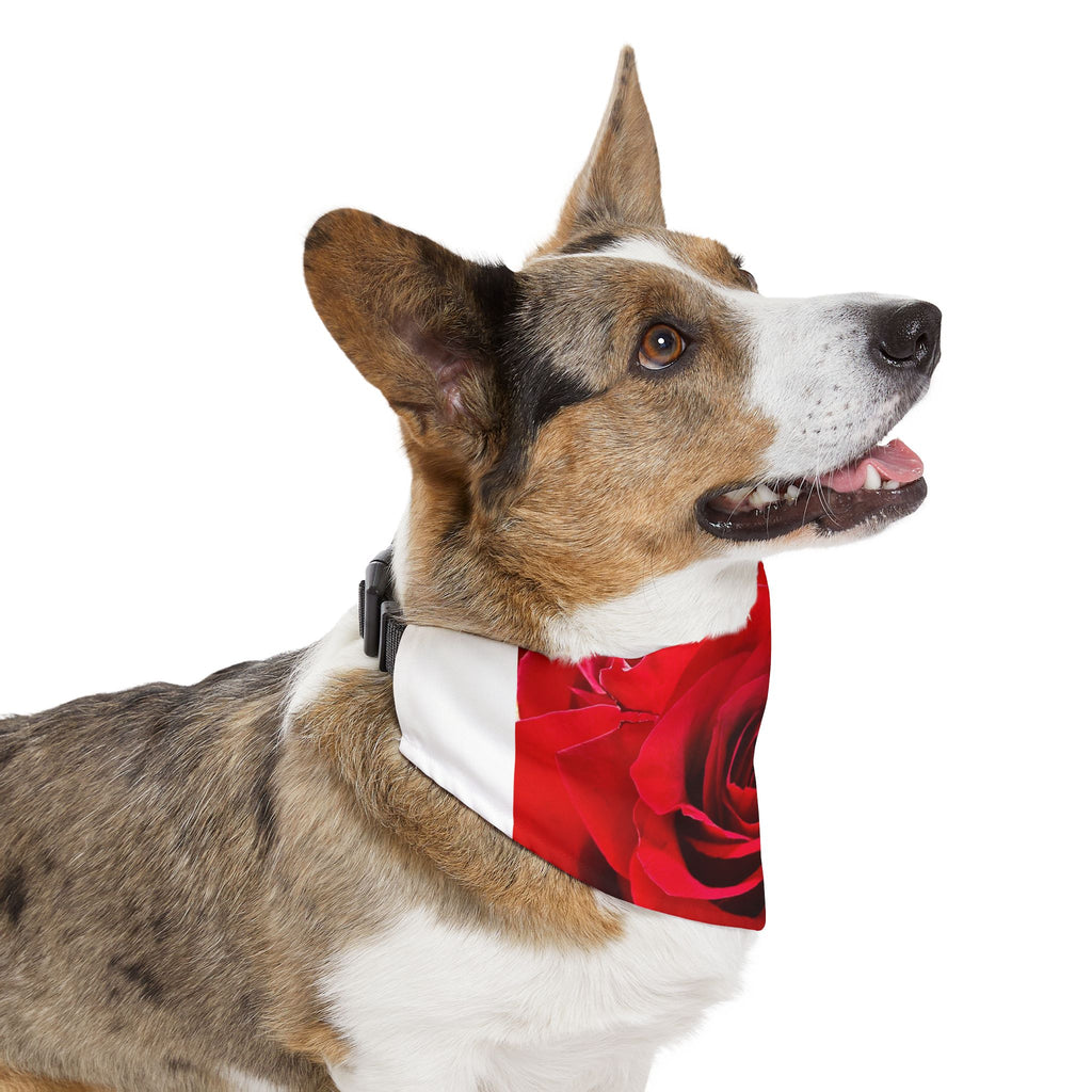 Stylish Floral Pet Bandana, Dog Accessory for Fashion-Forward Pets, Perfect for Walks, Gifts, Pet Birthday, Mother's Day, Rose Design