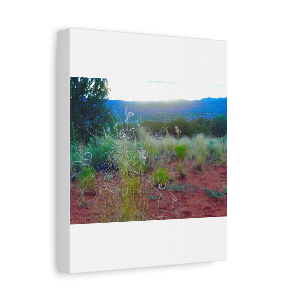 Stretched Canvas Art Print, Nature Wall Decor, Boho Home Decor, Rustic Landscape Art, Gift for Nature Lovers