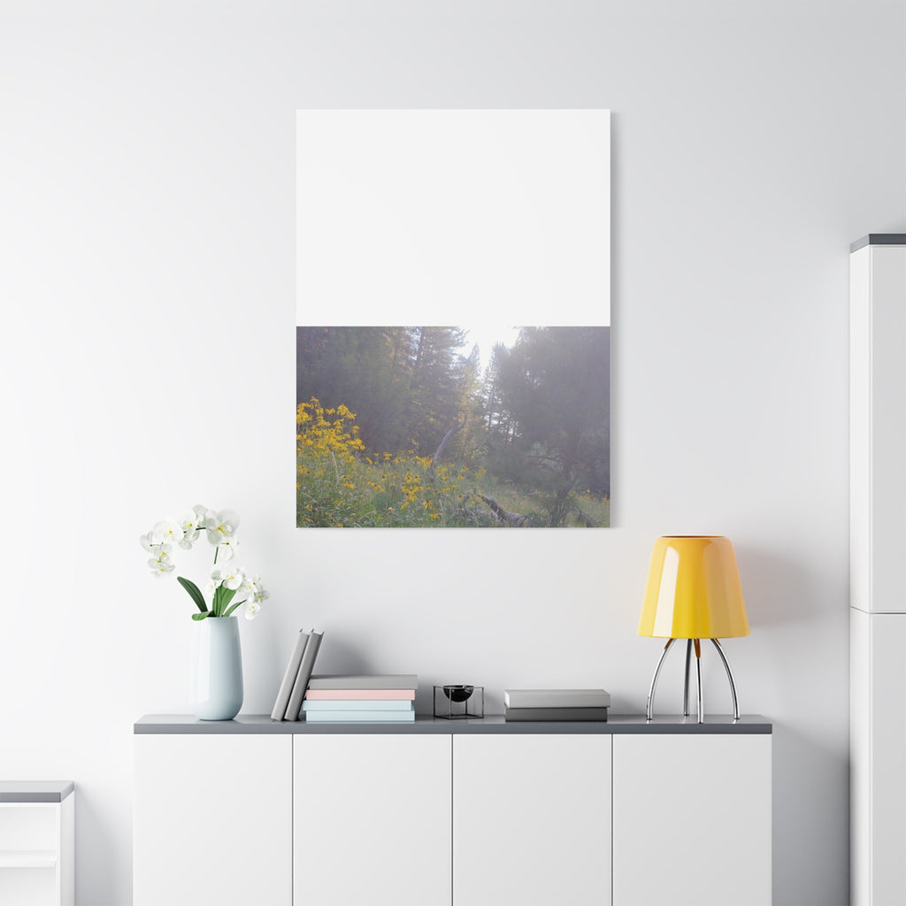 Matte Canvas, Stretched, 1.25"