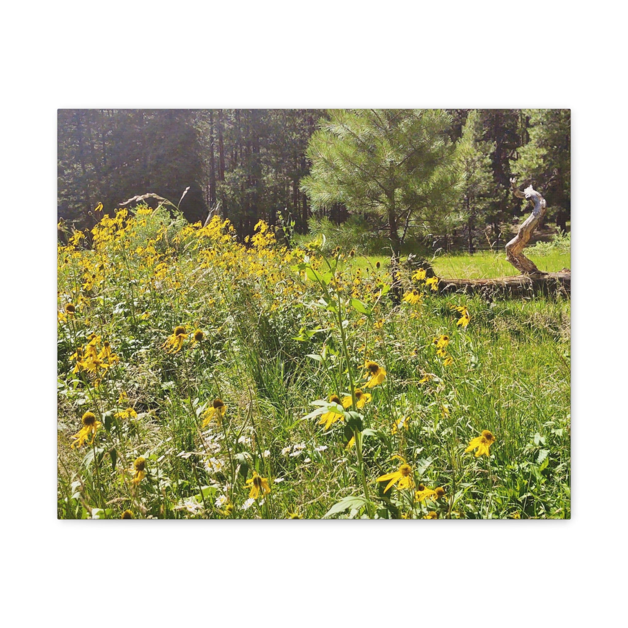 Canvas Wall Art, Nature Photography Decor, Floral Home Decor, Greenery Art Print, Gift for Nature Lovers