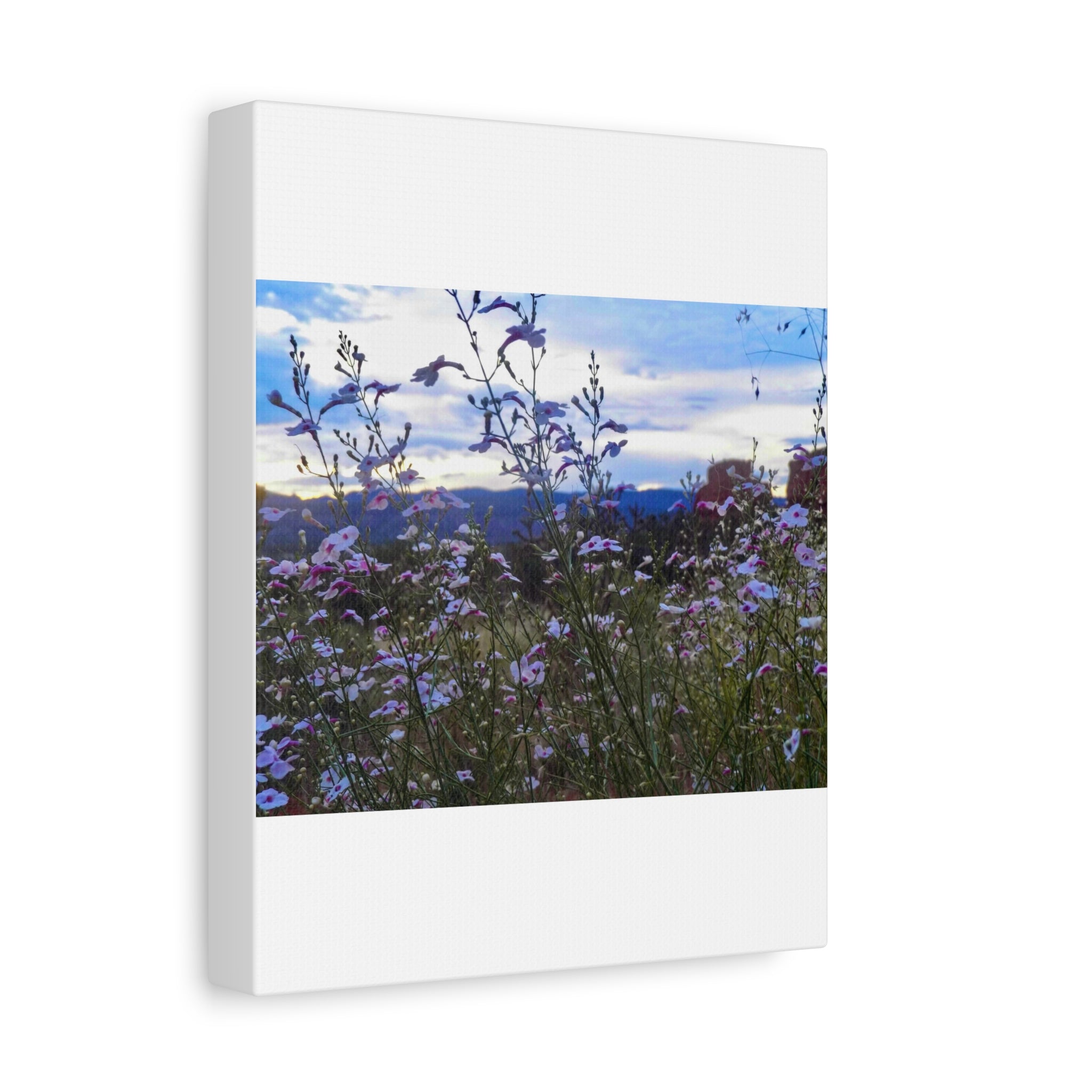 Floral Wall Art Canvas, Nature-Inspired Home Decor, Flower Print, Rustic Living Room, Gift for Gardeners, Boho Wall Art