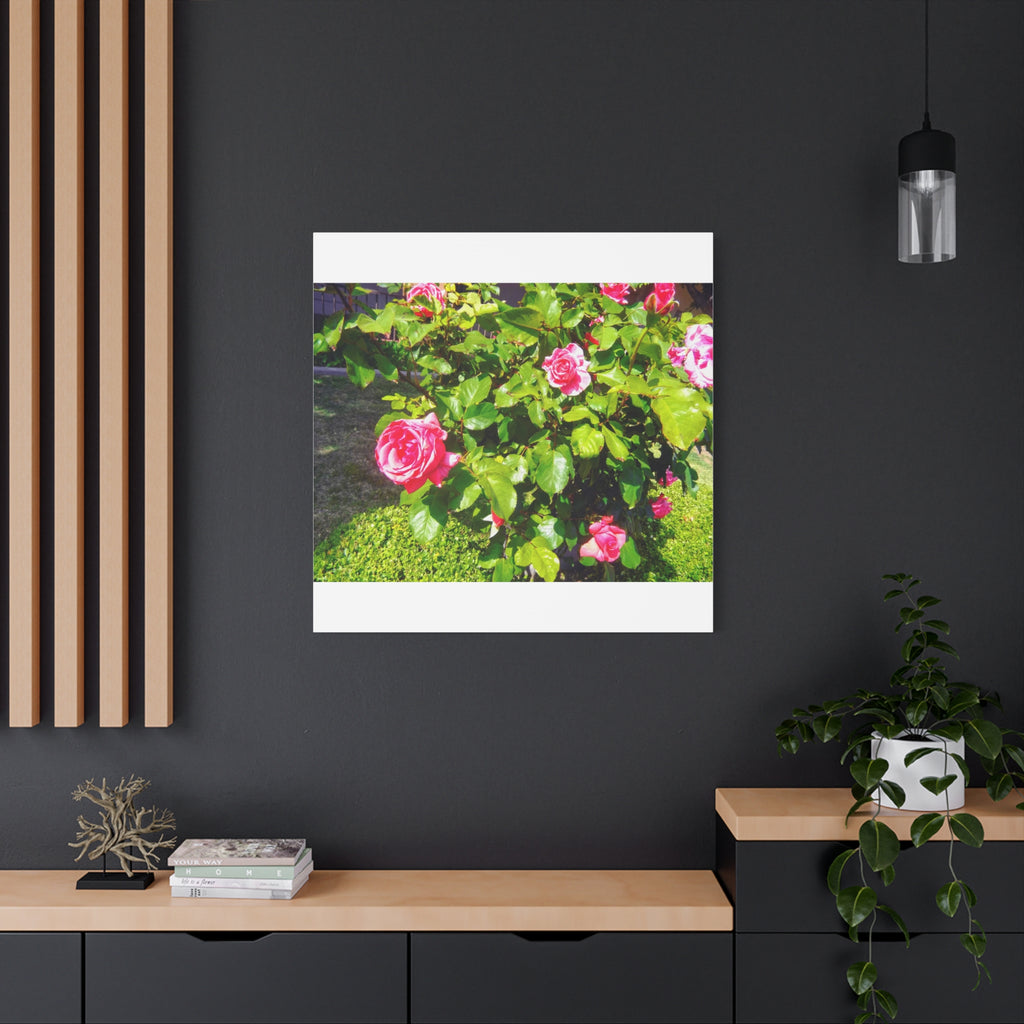 Floral Canvas Wall Art, Pink Rose Decor, Home Gallery Piece, Flower Photography, Garden Wall Decor, Floral Print