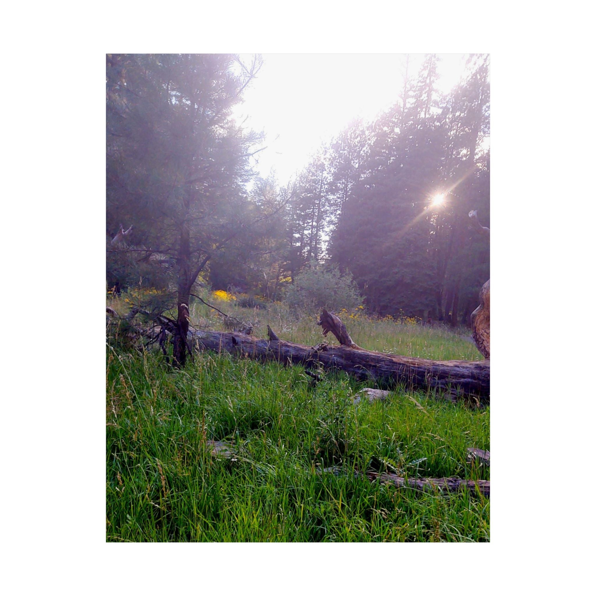 Nature-Inspired Matte Vertical Posters for Home Décor, Unique Wall Art Prints, Botanical Print Collection, Gifts for Nature Lovers, [...]