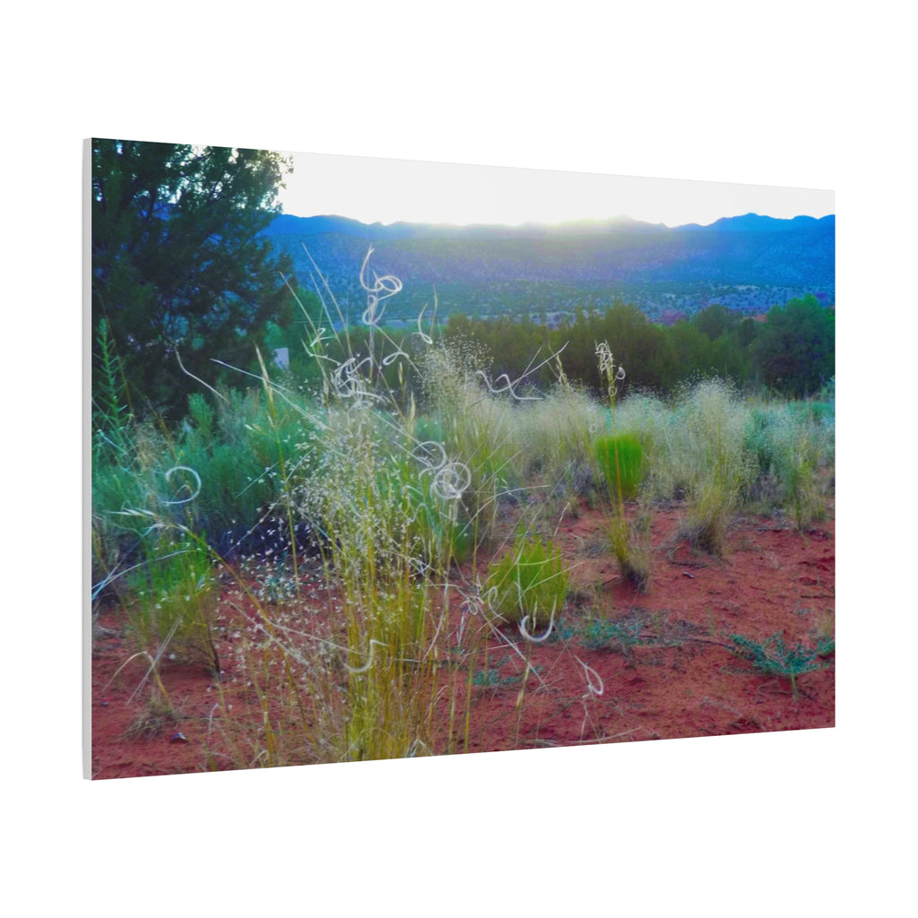 Stretched Canvas Art Print, Nature Wall Decor, Boho Home Decor, Rustic Landscape Art, Gift for Nature Lovers