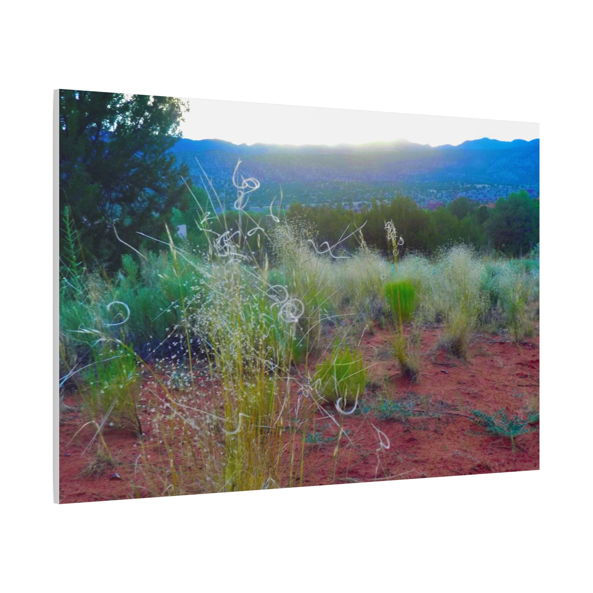 Stretched Canvas Art Print, Nature Wall Decor, Boho Home Decor, Rustic Landscape Art, Gift for Nature Lovers