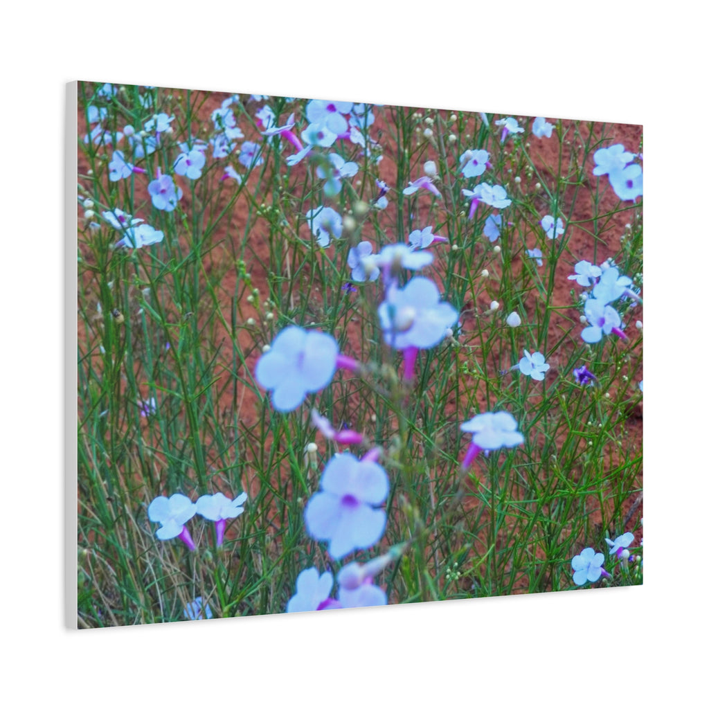 Floral Canvas Wall Art, Home Decor, Wall Hanging, Gift Idea, Nature Art, Flower Print