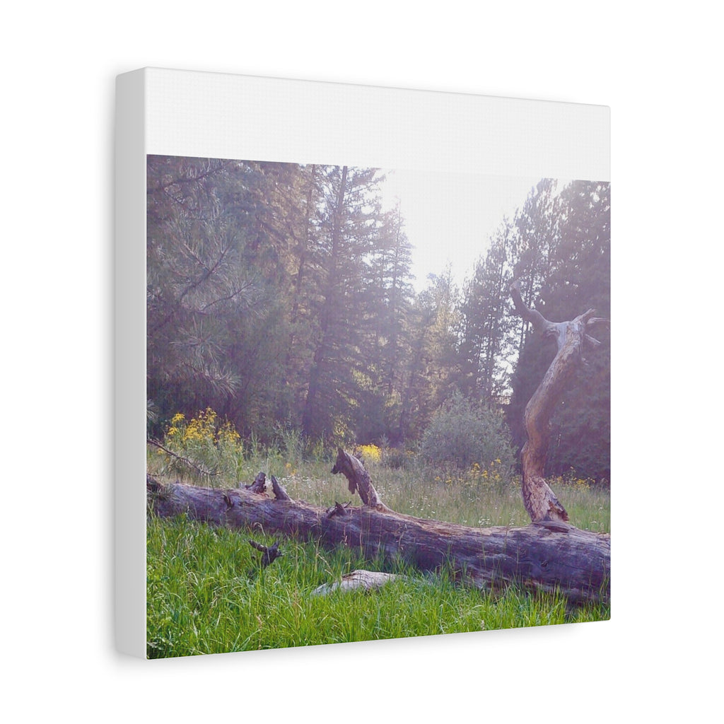 Matte Canvas Wall Art - Serene Nature Scene, Perfect for Home Decor, Gift for Nature Lovers, Office Wall Decoration, Rustic Art Print