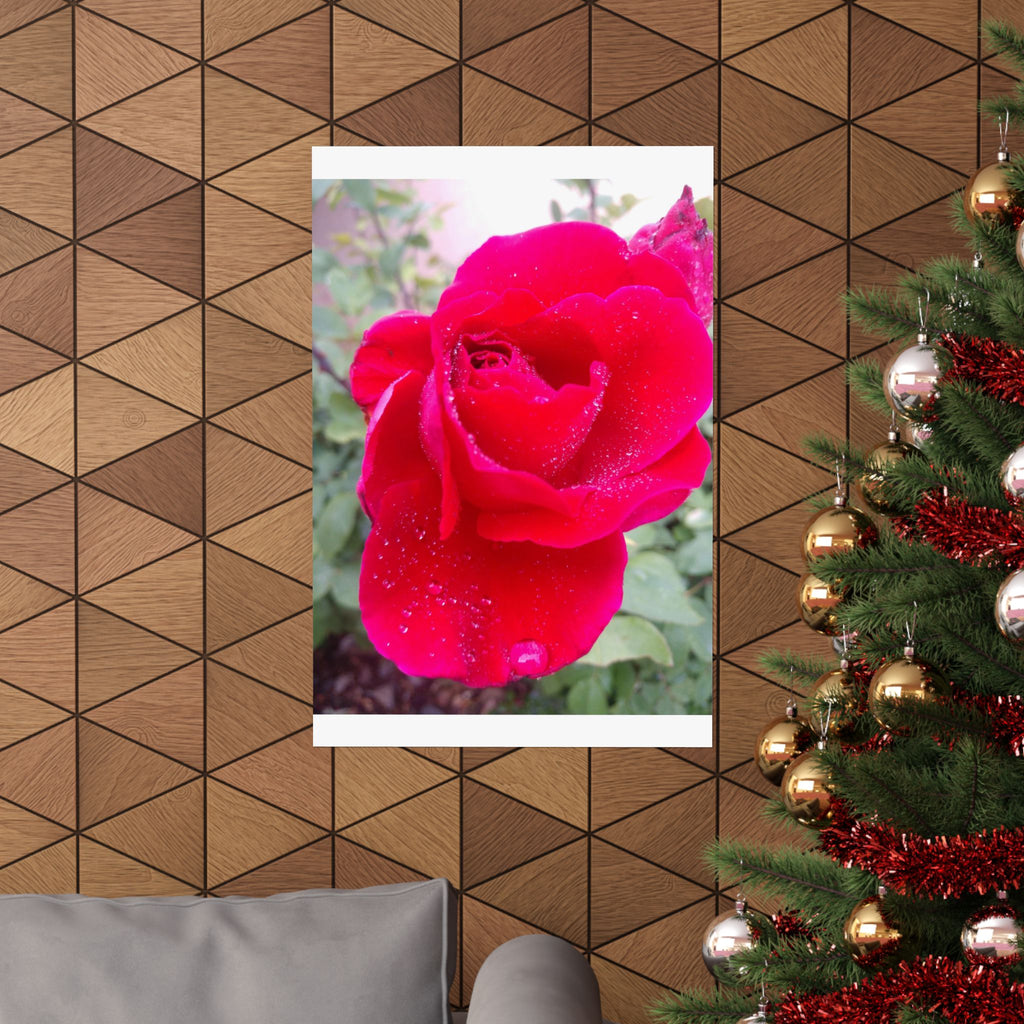 Vibrant Floral Matte Poster, Home Decor, Wall Art, Gift for Her, Red Rose Print, Botanical Wall Art, Romantic Decoration