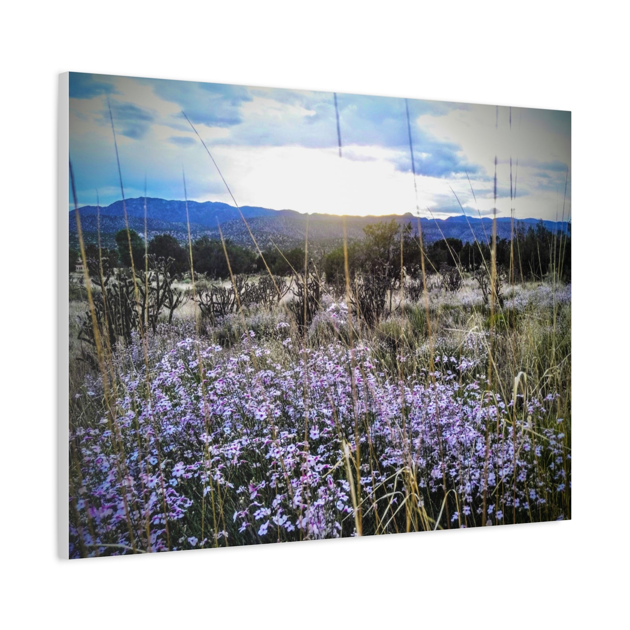 Framed Botanical Wall Art, Floral Canvas Print, Nature Decor, Home Interior Art, Gift for Garden Lovers, Beautiful Flower Landscape