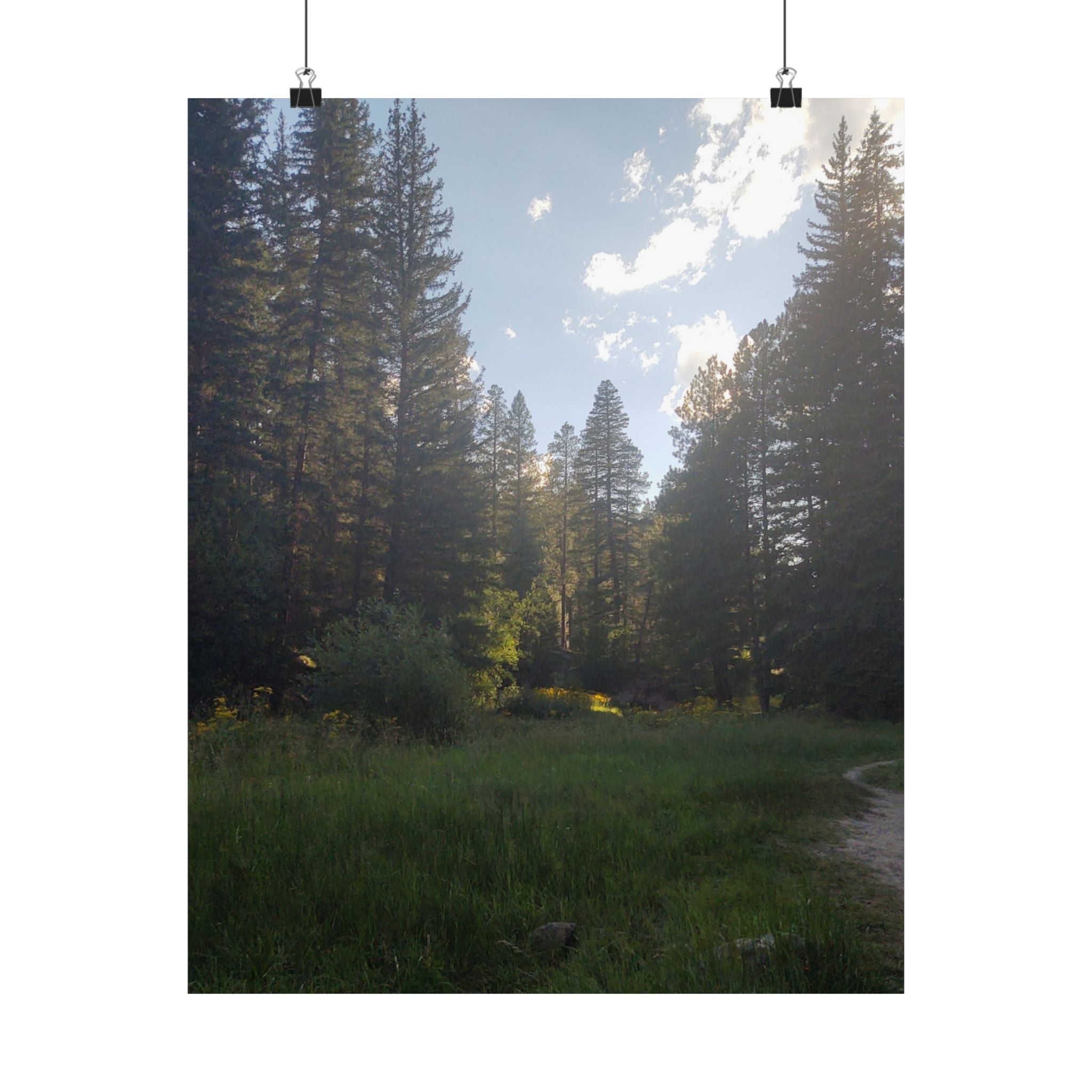 Nature-Inspired Matte Vertical Posters, Forest Art Decor, Home Wall Art, Outdoor Lover Gift, Tranquil Nature Prints