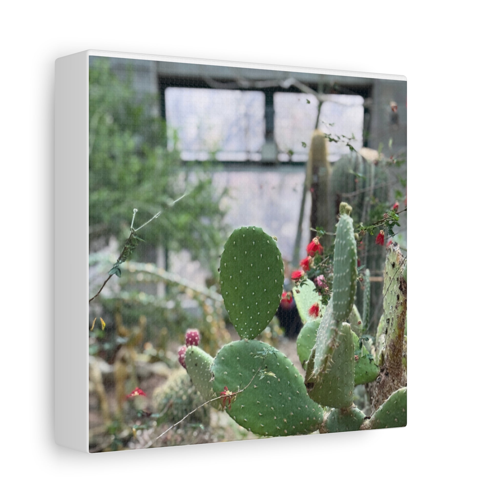 Cactus Matte Canvas Wall Art, Nature Decor, Southwestern Room Design, Green Plant Prints, Home and Office Wall Decor