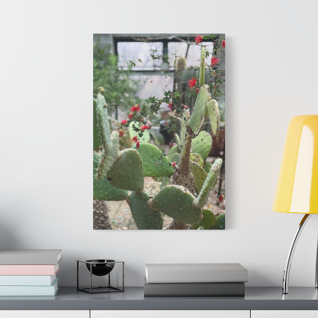 Cactus Artwork Print, Botanical Wall Decor, Succulent Canvas, Nature Lover Gift, Home Decoration