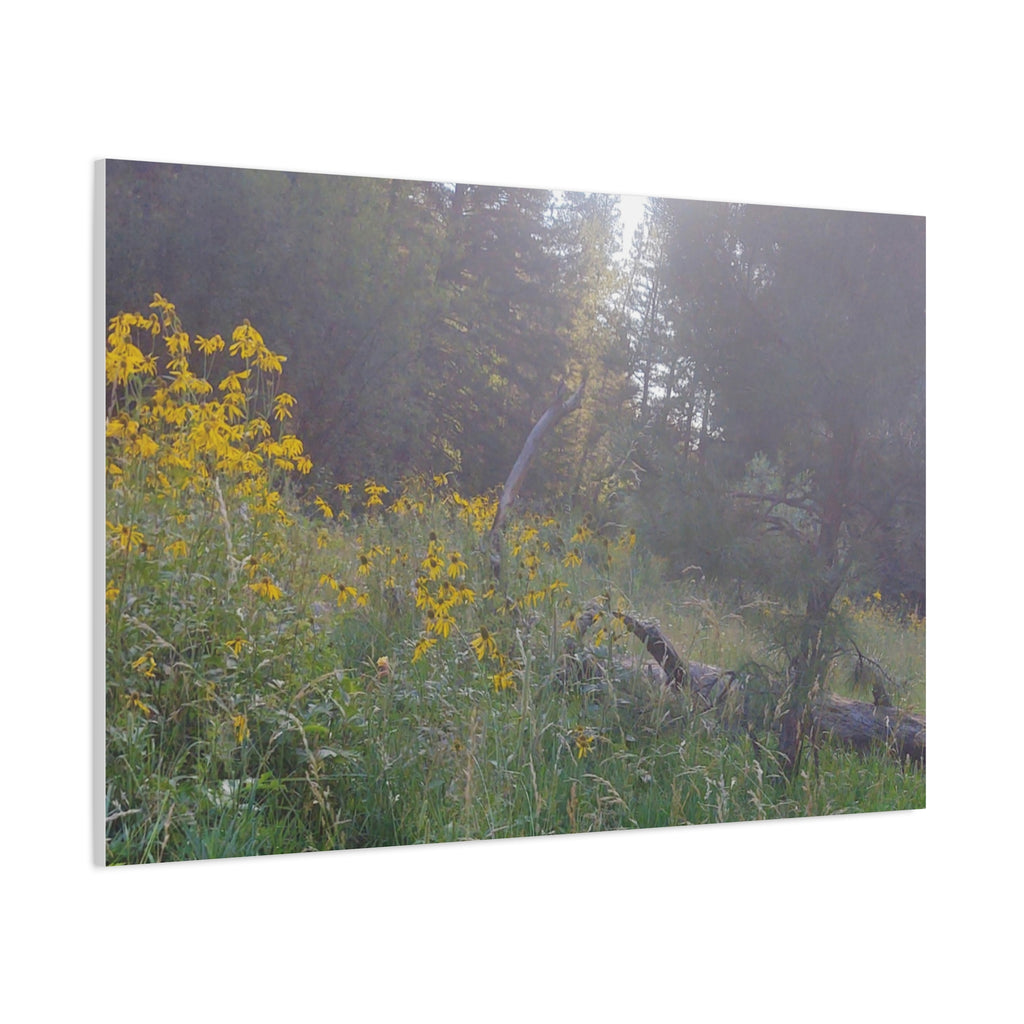 Matte Canvas, Stretched, 1.25"