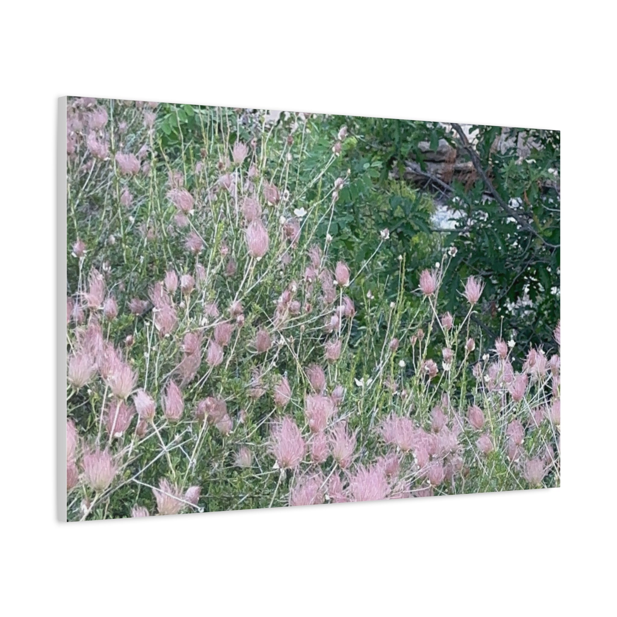 Floral Wall Art Canvas, Home Decor, Nature Lover Gift, Botanical Print, Spring Decor, Mother’s Day