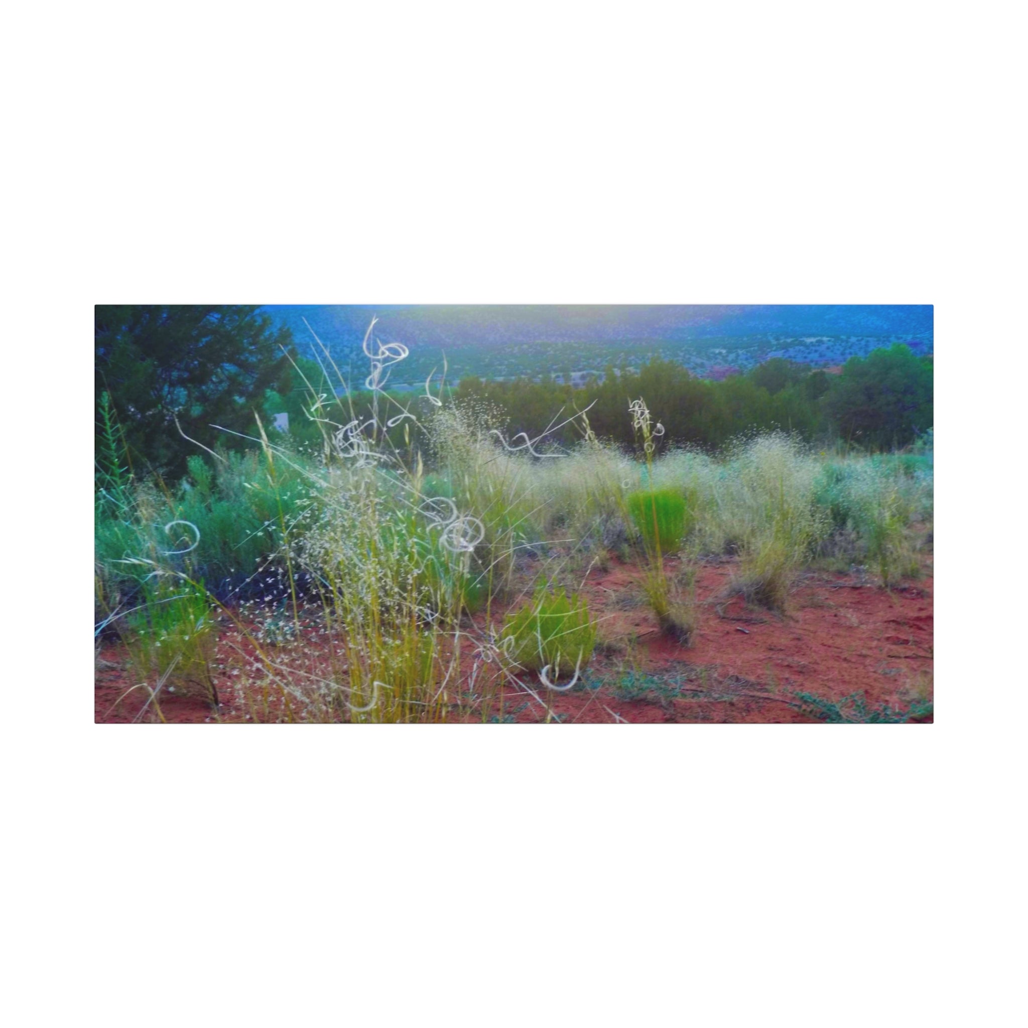 Stretched Canvas Art Print, Nature Wall Decor, Boho Home Decor, Rustic Landscape Art, Gift for Nature Lovers