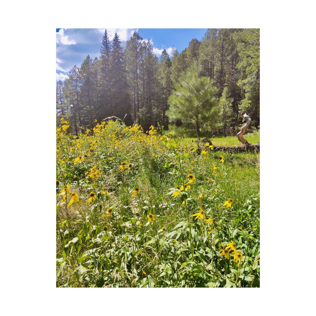 Nature-Inspired Matte Vertical Posters, Floral Wall Art, Home Decor, Gift for Nature Lovers, Botanical Print, Office Decoration