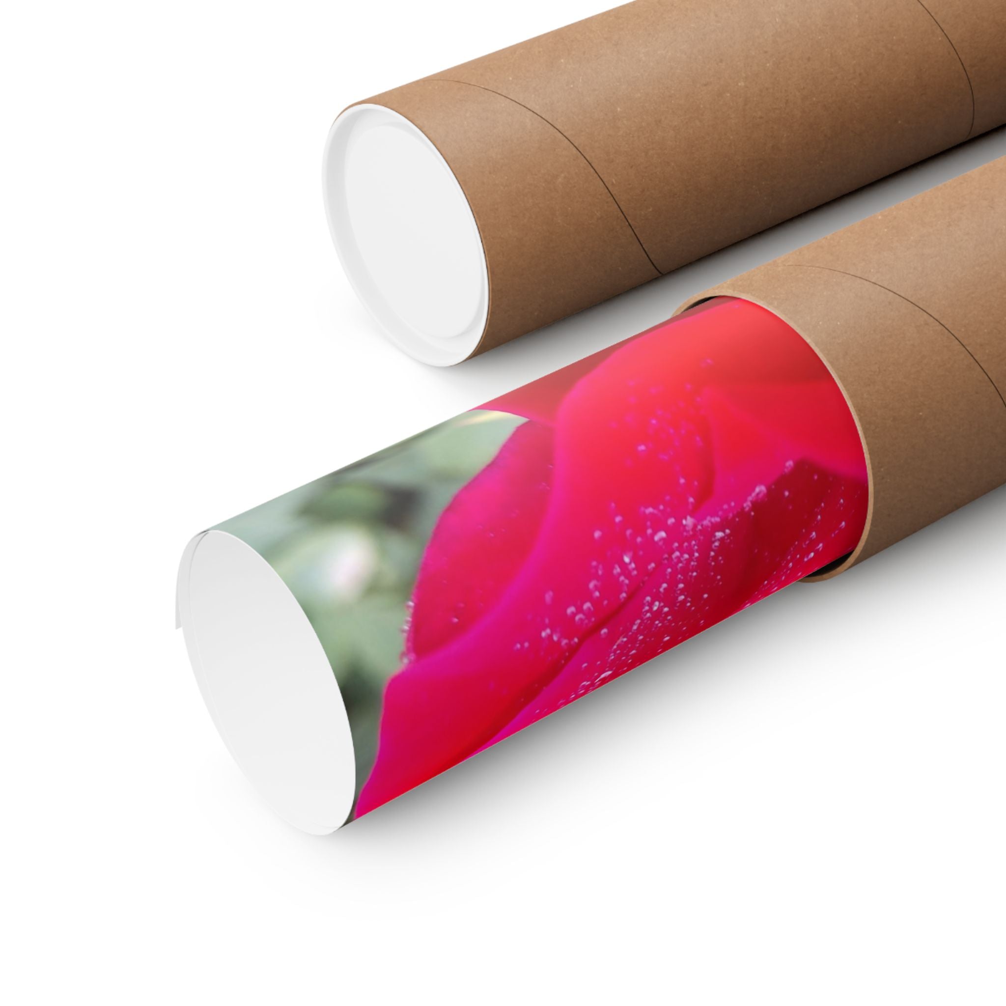 Vibrant Floral Matte Poster, Home Decor, Wall Art, Gift for Her, Red Rose Print, Botanical Wall Art, Romantic Decoration