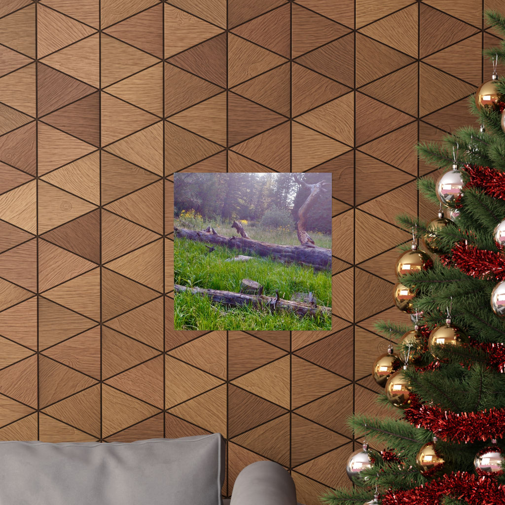 Nature-Inspired Matte Vertical Posters, Wall Art Decor, Forest Photo Prints, Home Aesthetic, Gift for Nature Lovers