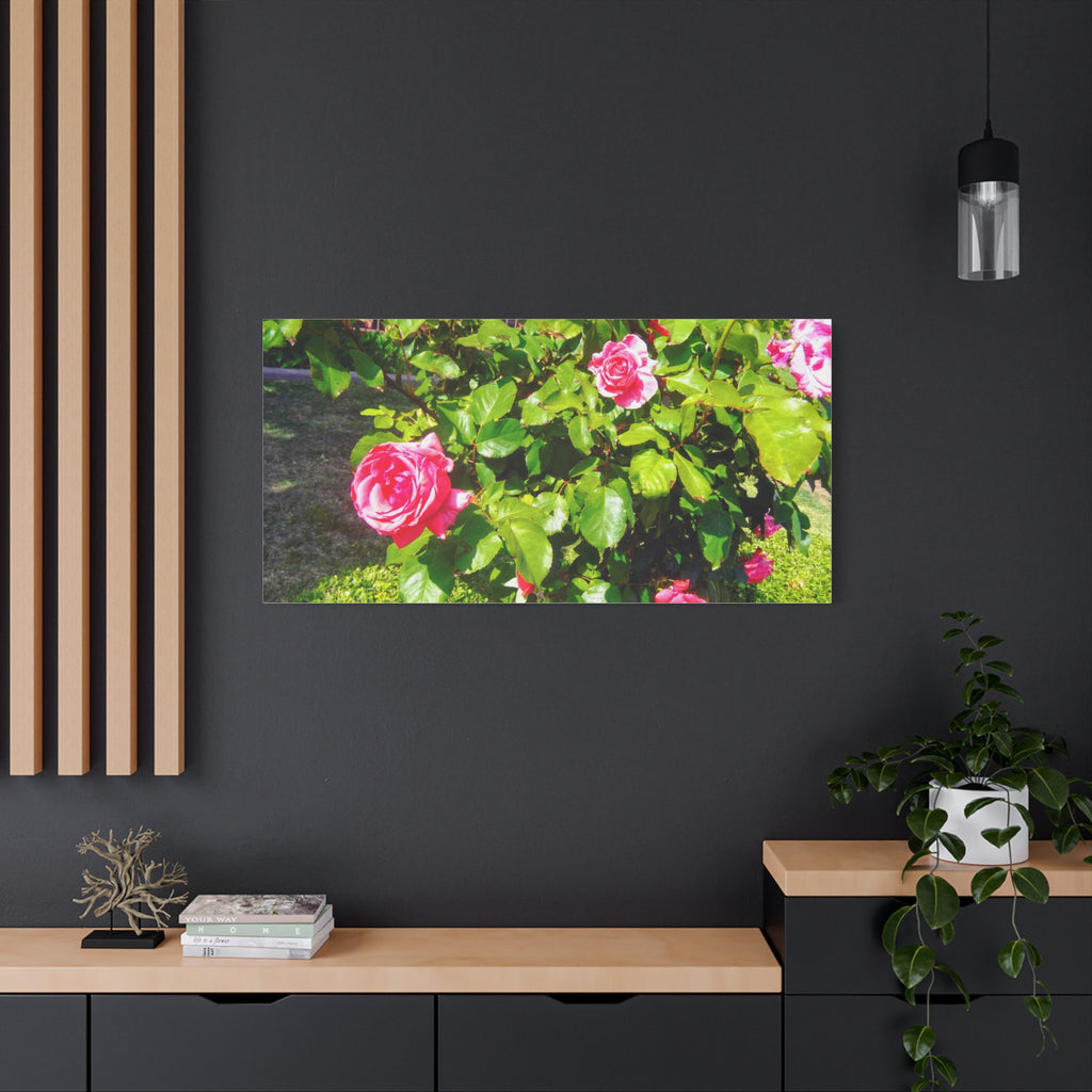 Floral Canvas Wall Art, Pink Rose Decor, Home Gallery Piece, Flower Photography, Garden Wall Decor, Floral Print