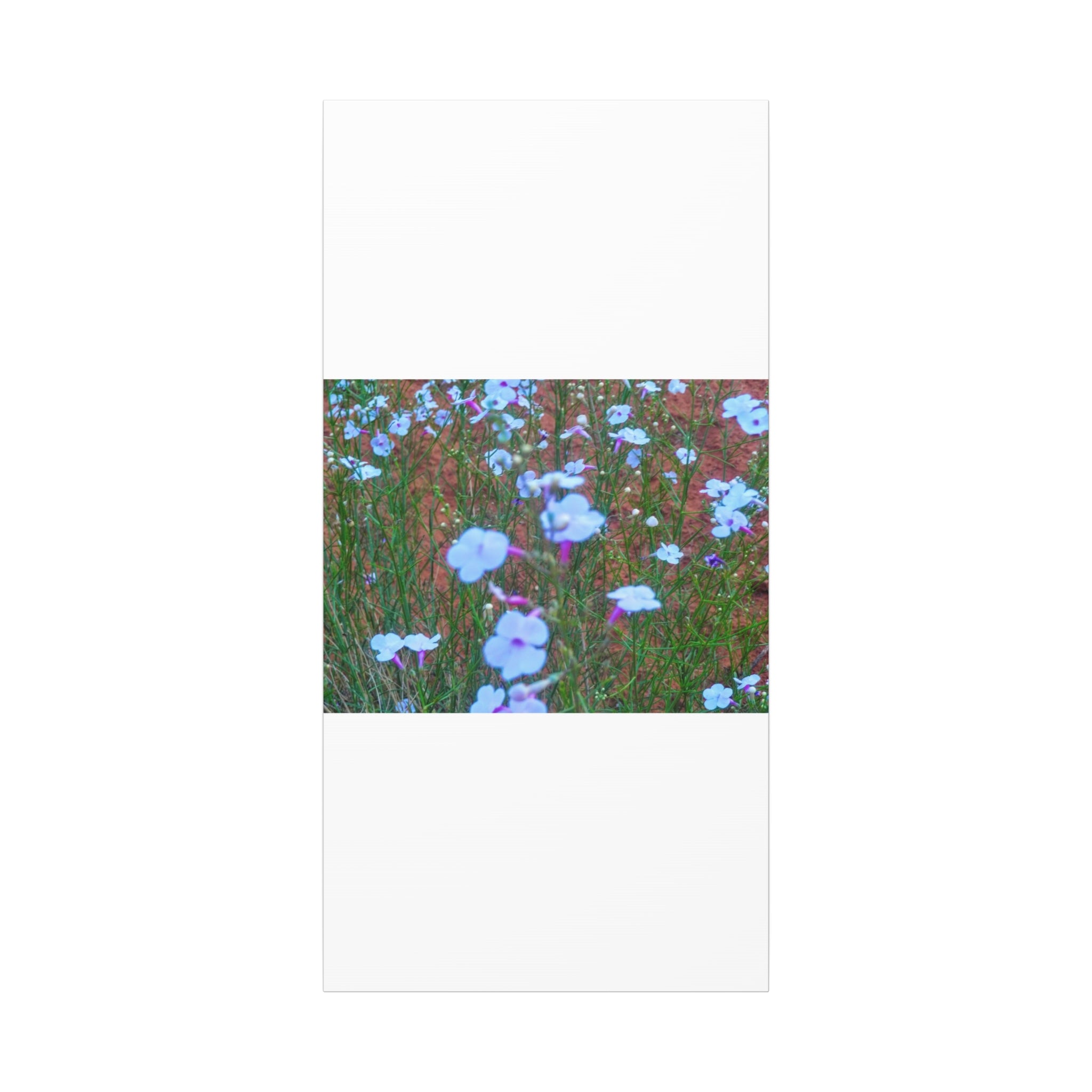 Floral Canvas Wall Art, Home Decor, Wall Hanging, Gift Idea, Nature Art, Flower Print