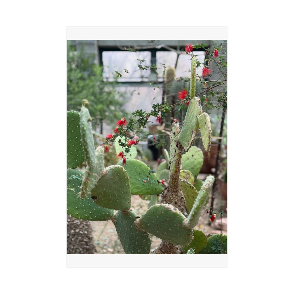 Cactus Vertical Wall Art, Boho Home Decor, Nature Print, Gift for Plant Lovers, Gallery Wall Decoration