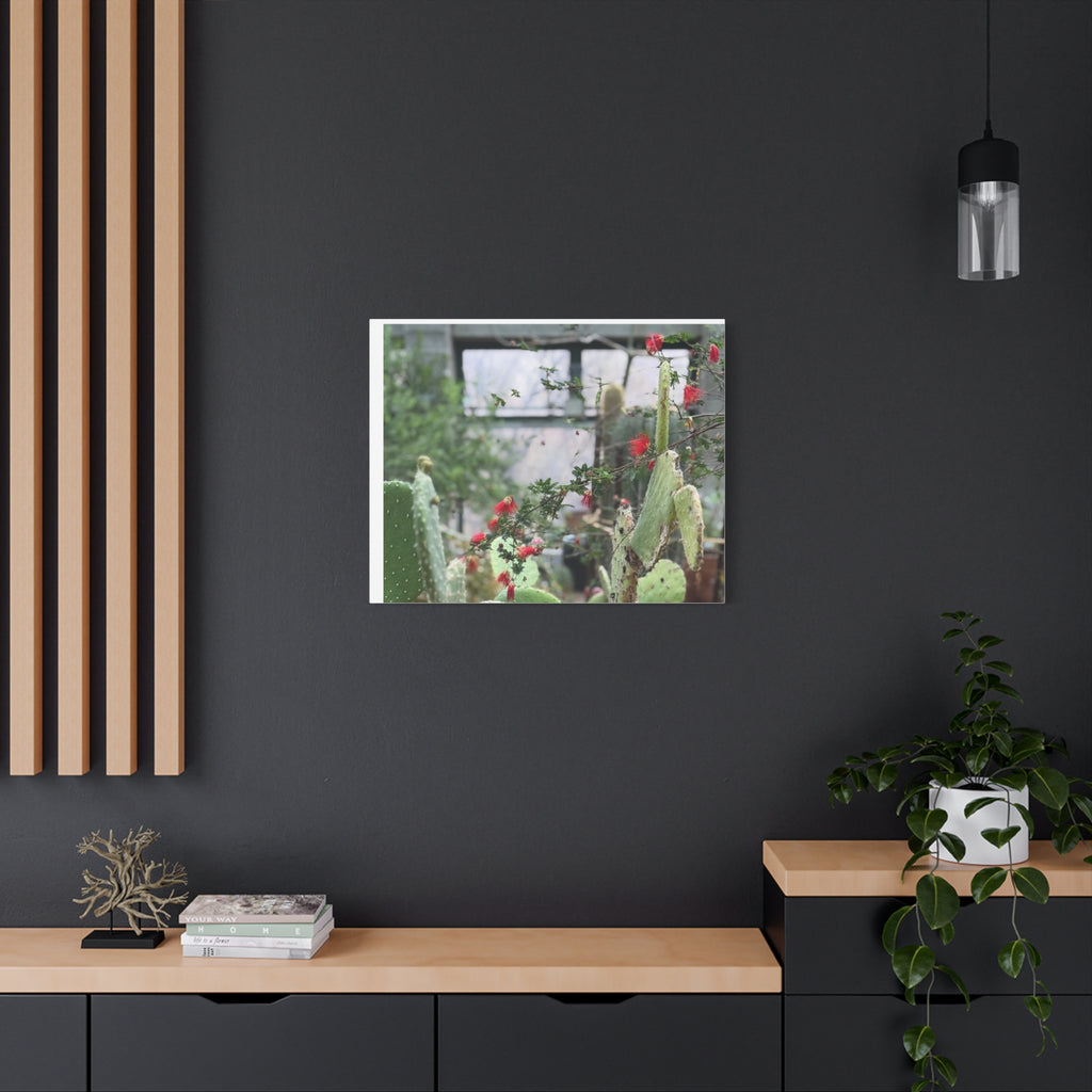 Cactus Wall Art Print, Nature Home Decor, Bohemian Style Artwork, Botanical Gift, Succulent Canvas