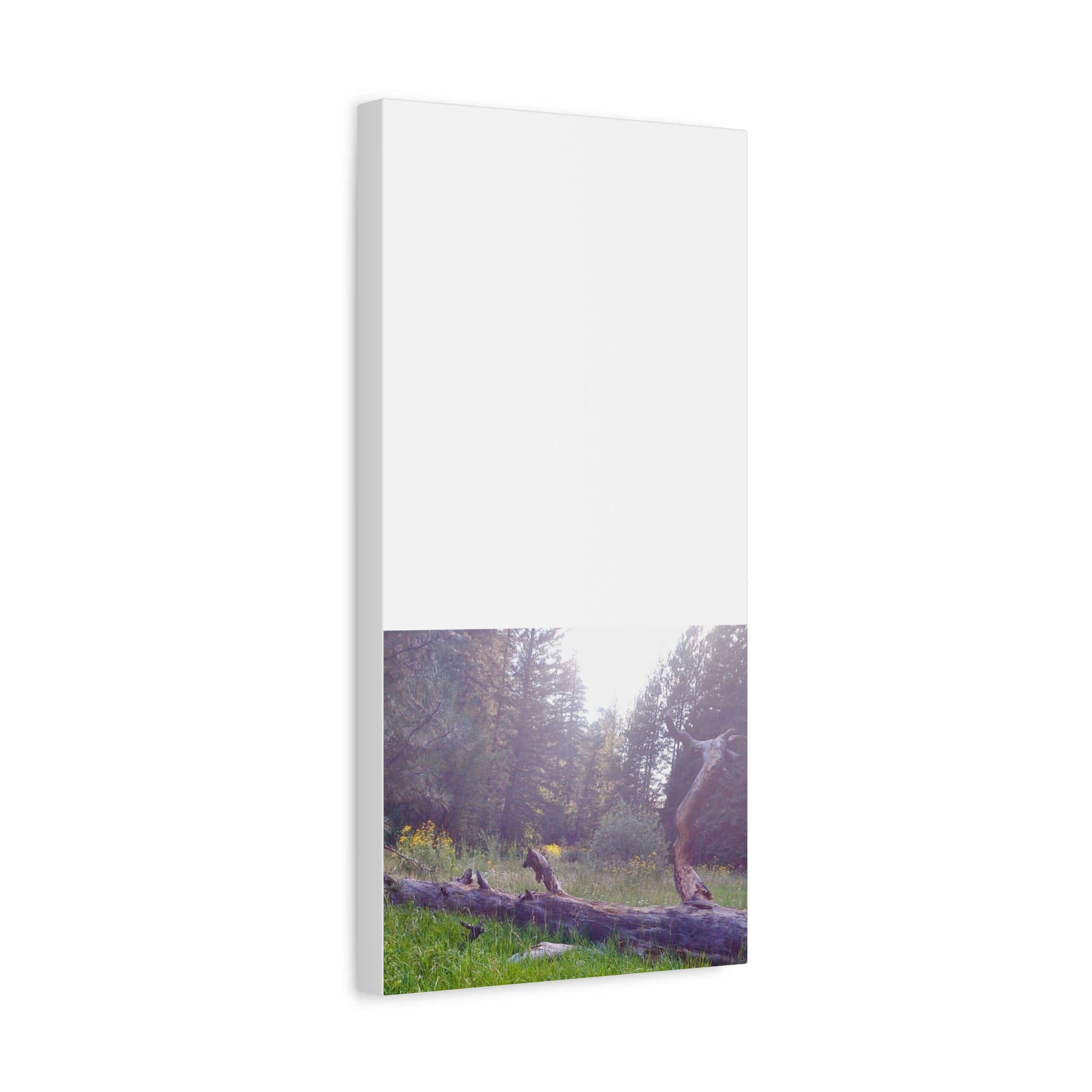 Matte Canvas Wall Art - Serene Nature Scene, Perfect for Home Decor, Gift for Nature Lovers, Office Wall Decoration, Rustic Art Print