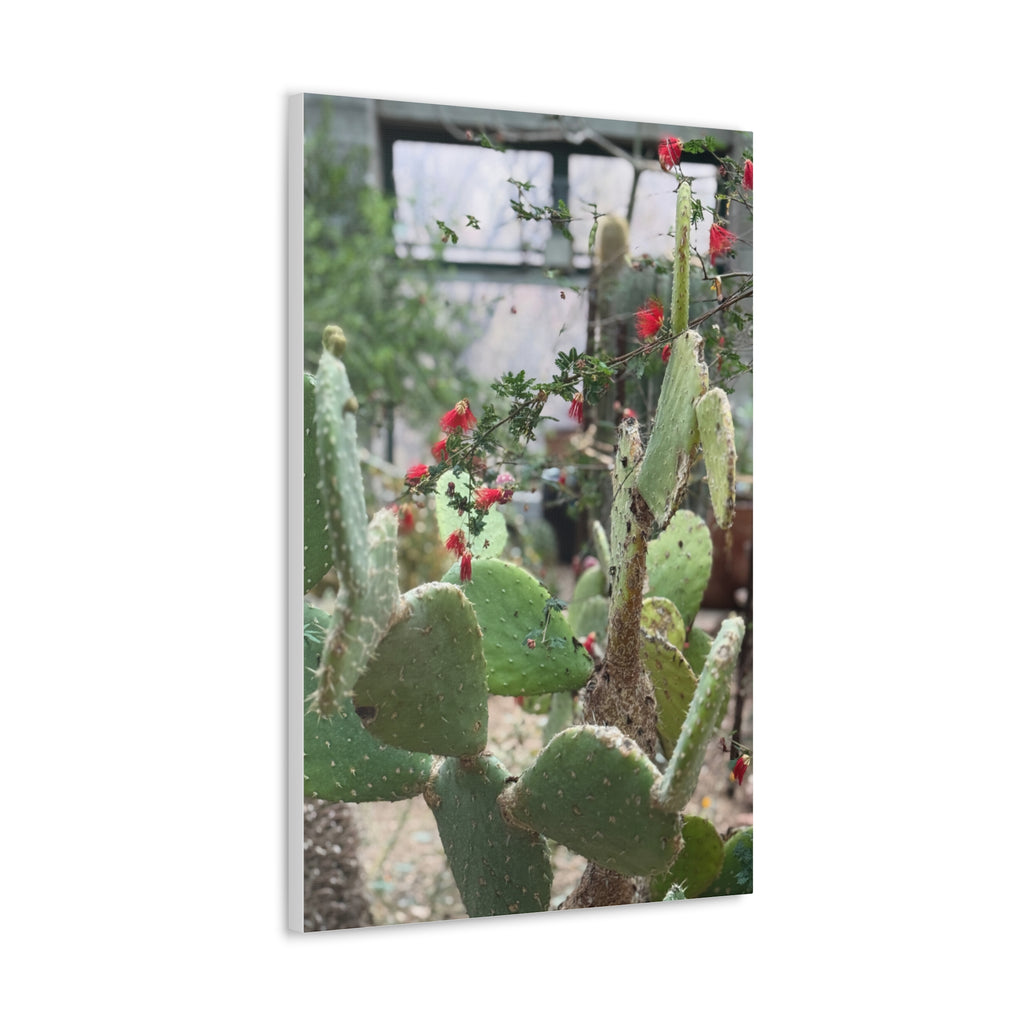 Cactus Artwork Print, Botanical Wall Decor, Succulent Canvas, Nature Lover Gift, Home Decoration