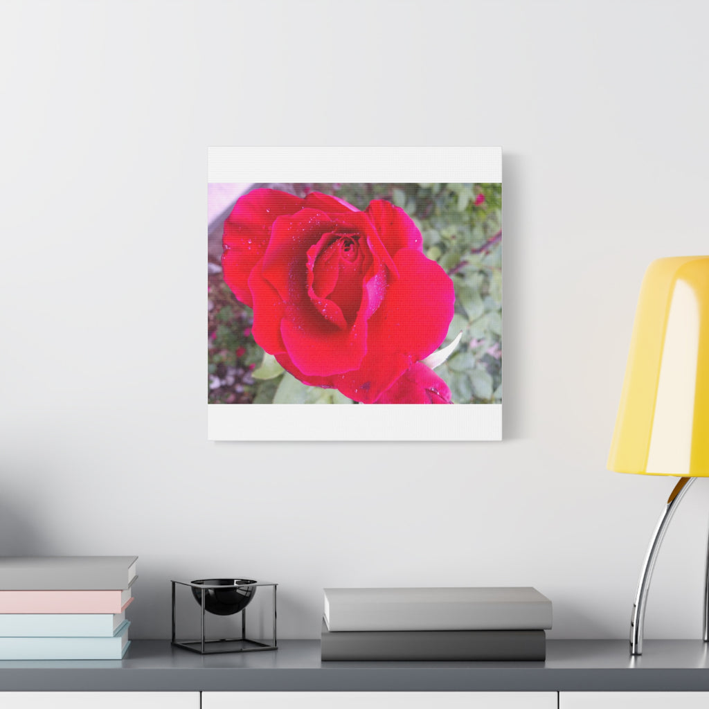 Vibrant Floral Canvas Art, Elegant Wall Decor, Perfect for Home, Gifts, Mother's Day, and Weddings
