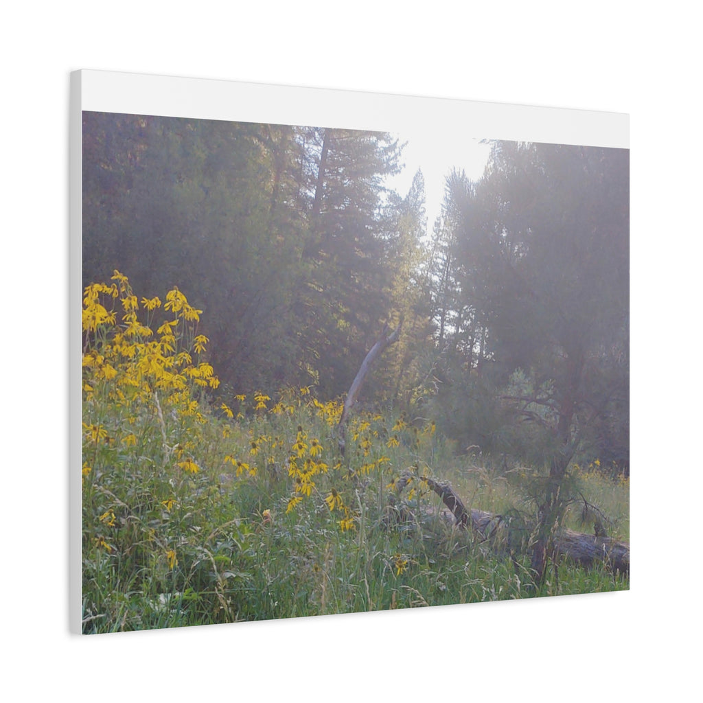 Matte Canvas, Stretched, 1.25"