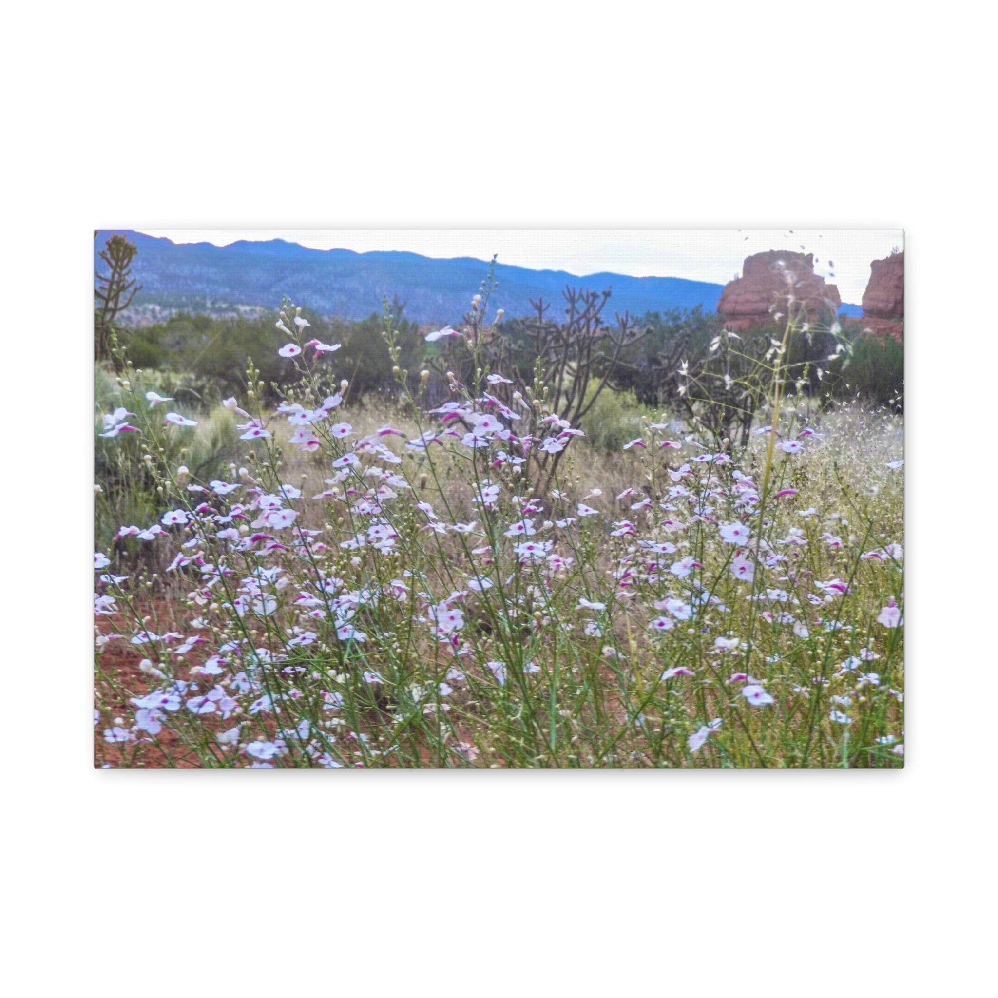 Floral Canvas Art Print, Nature Decor for Home, Wall Art for Office, Gift for Garden Lovers, Botanical Wall Decor, Spring Vibes