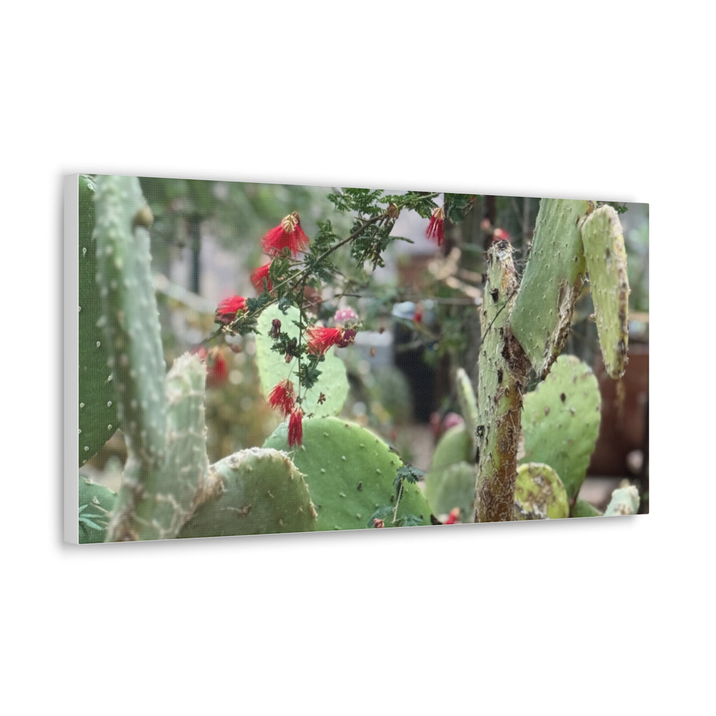 Cactus Artwork Print, Botanical Wall Decor, Succulent Canvas, Nature Lover Gift, Home Decoration